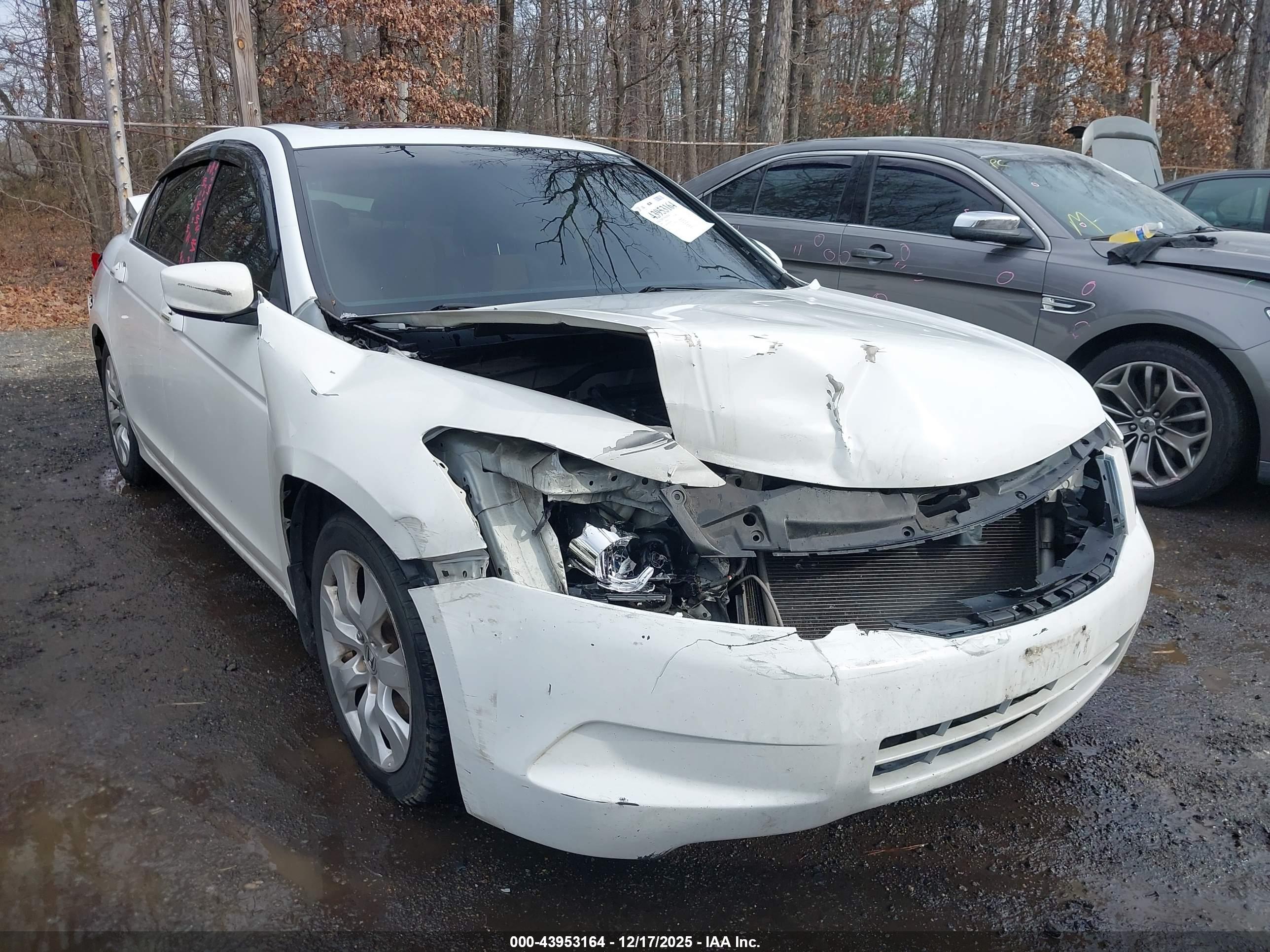 HONDA ACCORD image 6