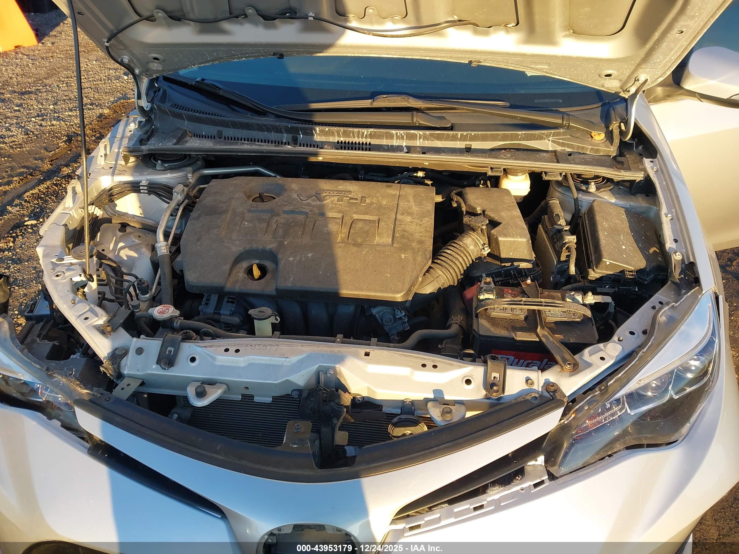 TOYOTA COROLLA image 10