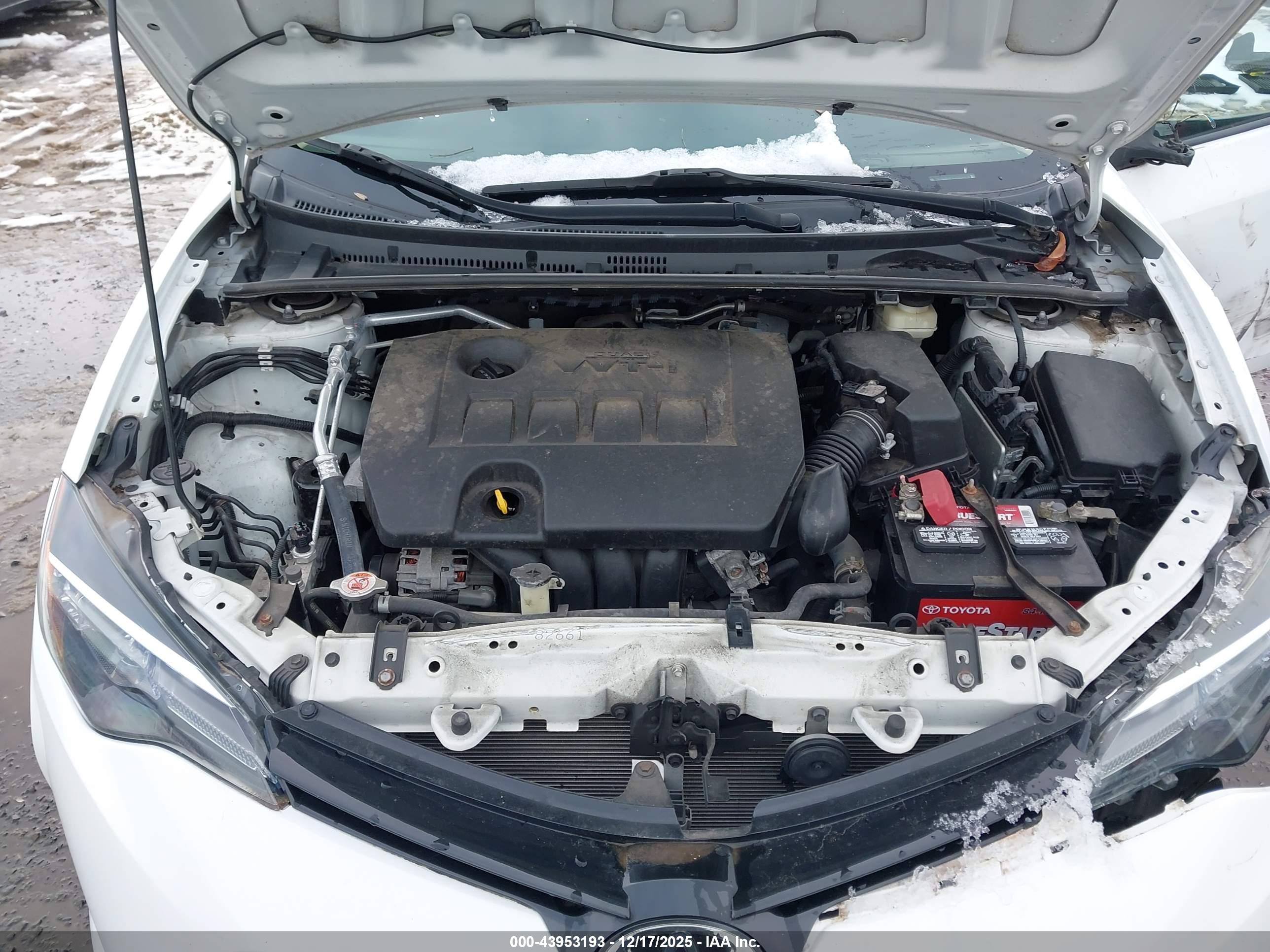 TOYOTA COROLLA image 10