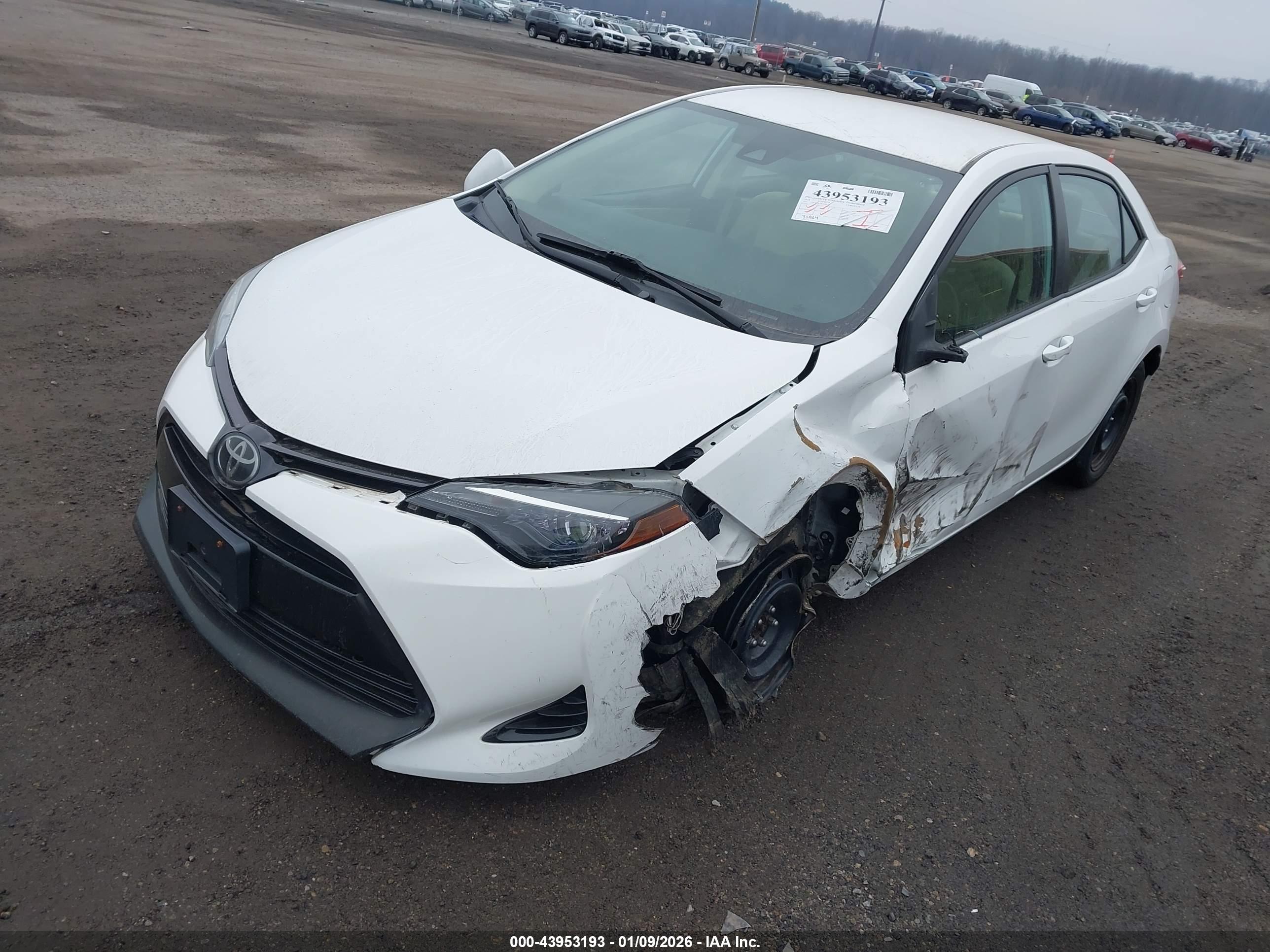 TOYOTA COROLLA image 2