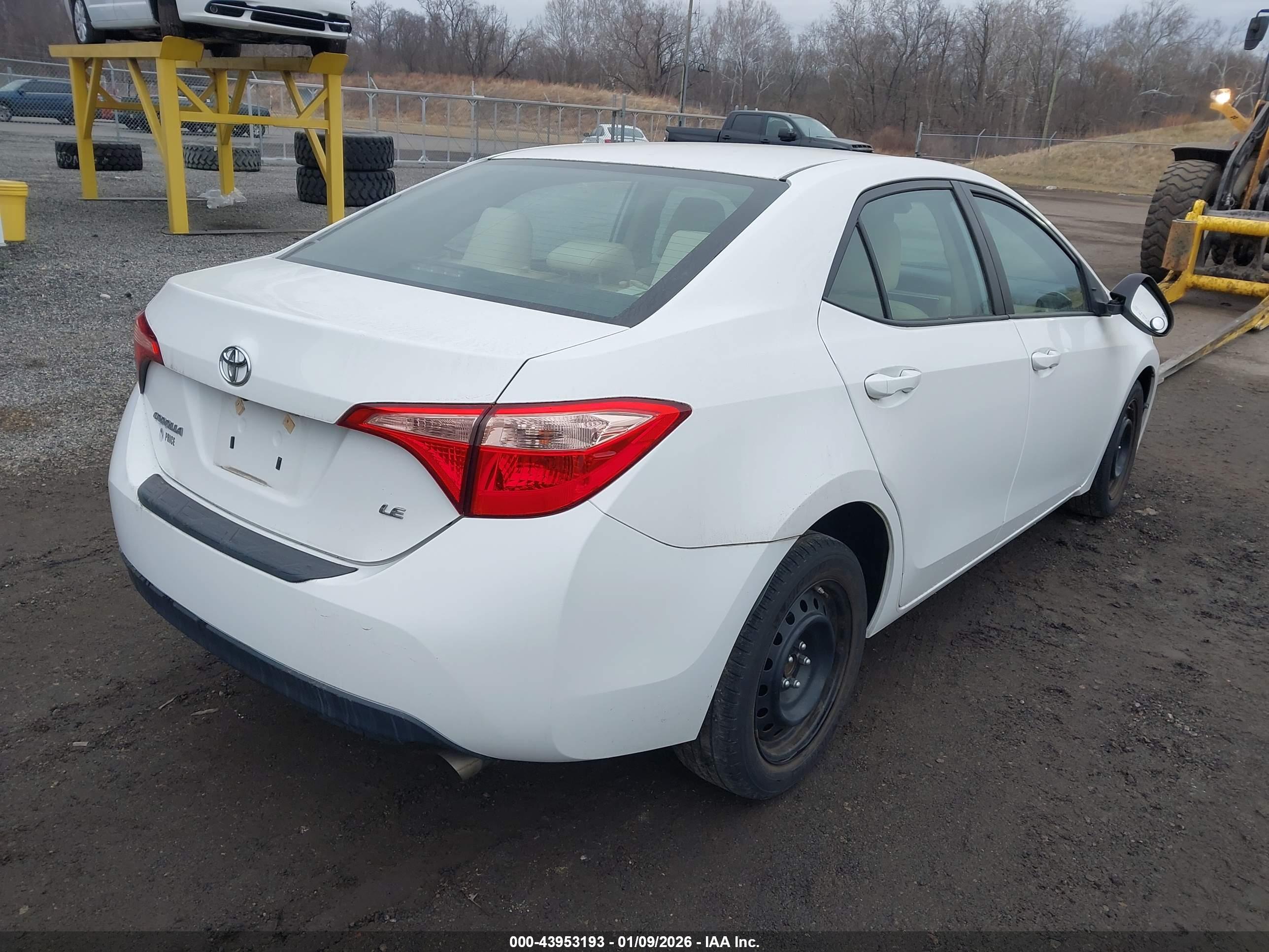 TOYOTA COROLLA image 4
