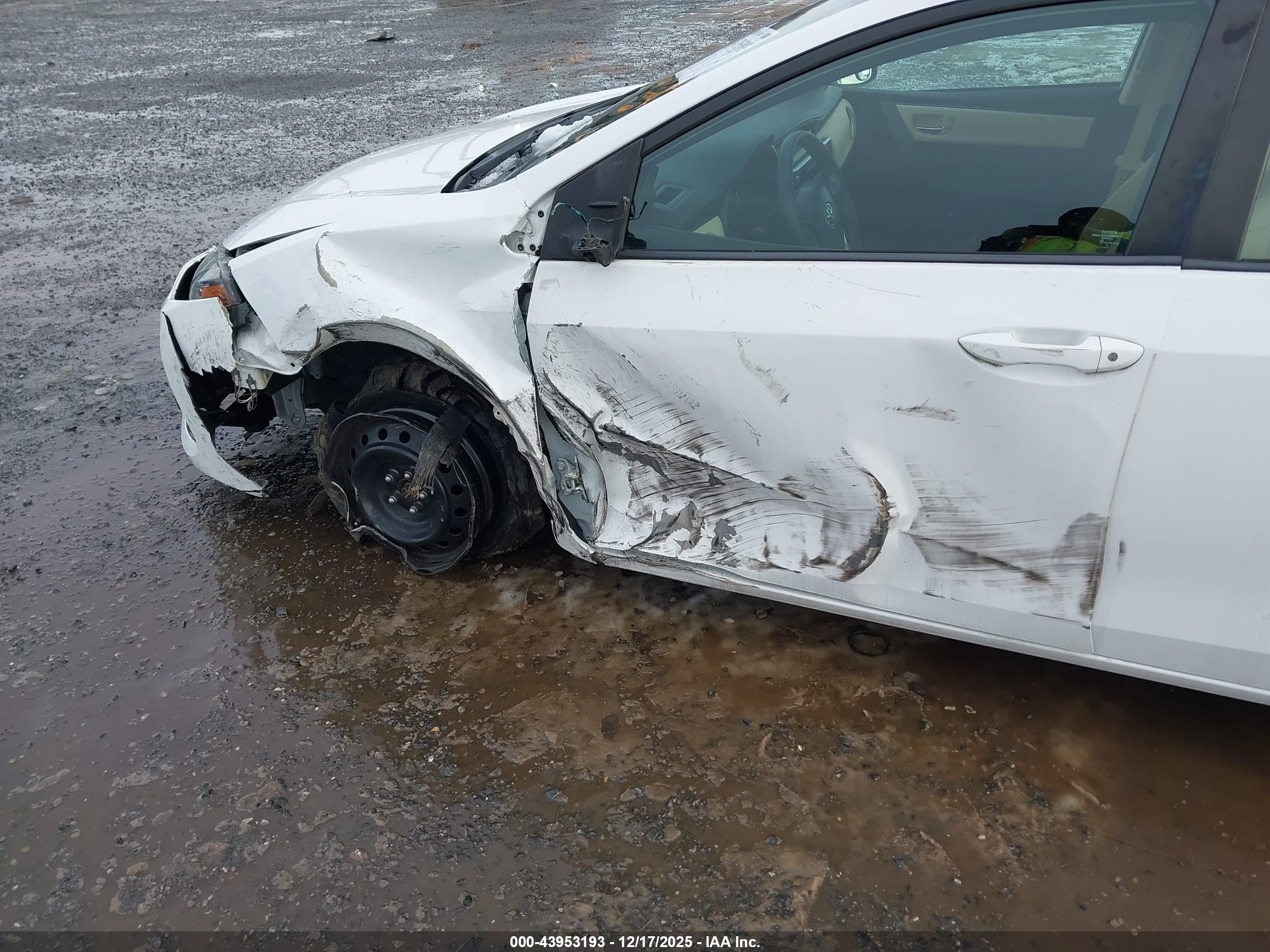 TOYOTA COROLLA image 6