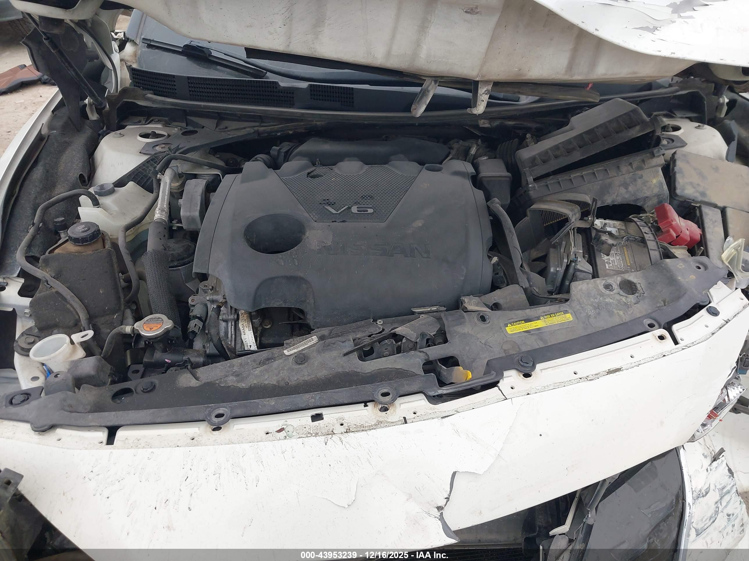 NISSAN MAXIMA image 10