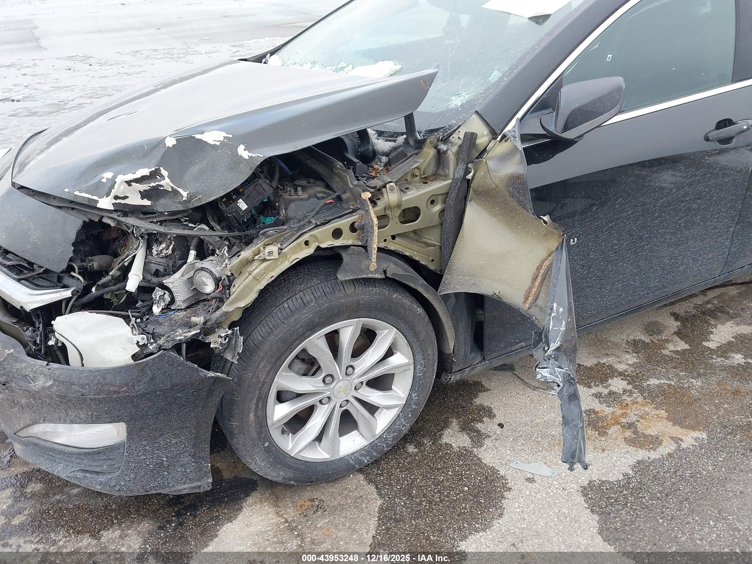 CHEVROLET MALIBU image 6