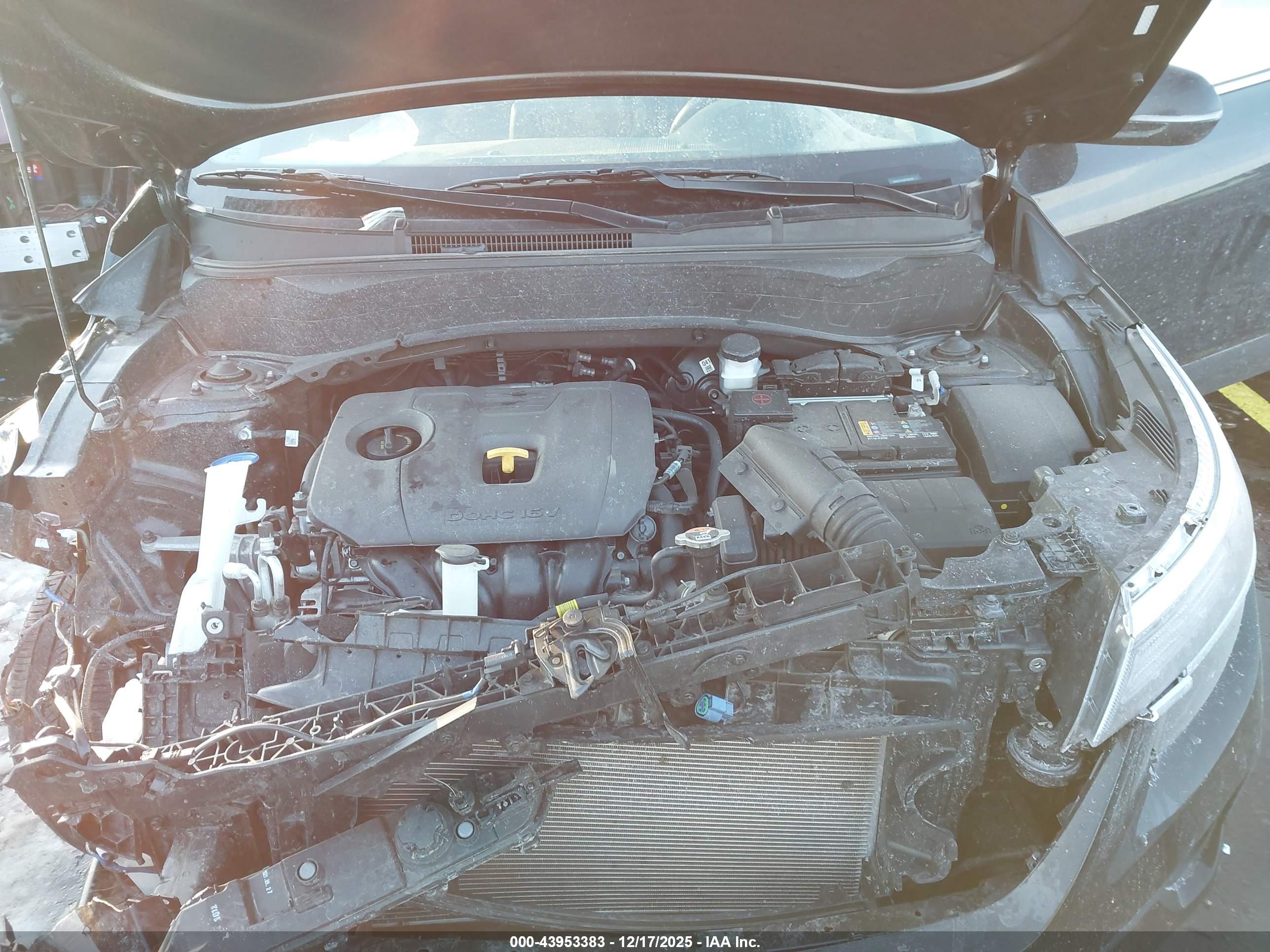 KIA SELTOS image 10