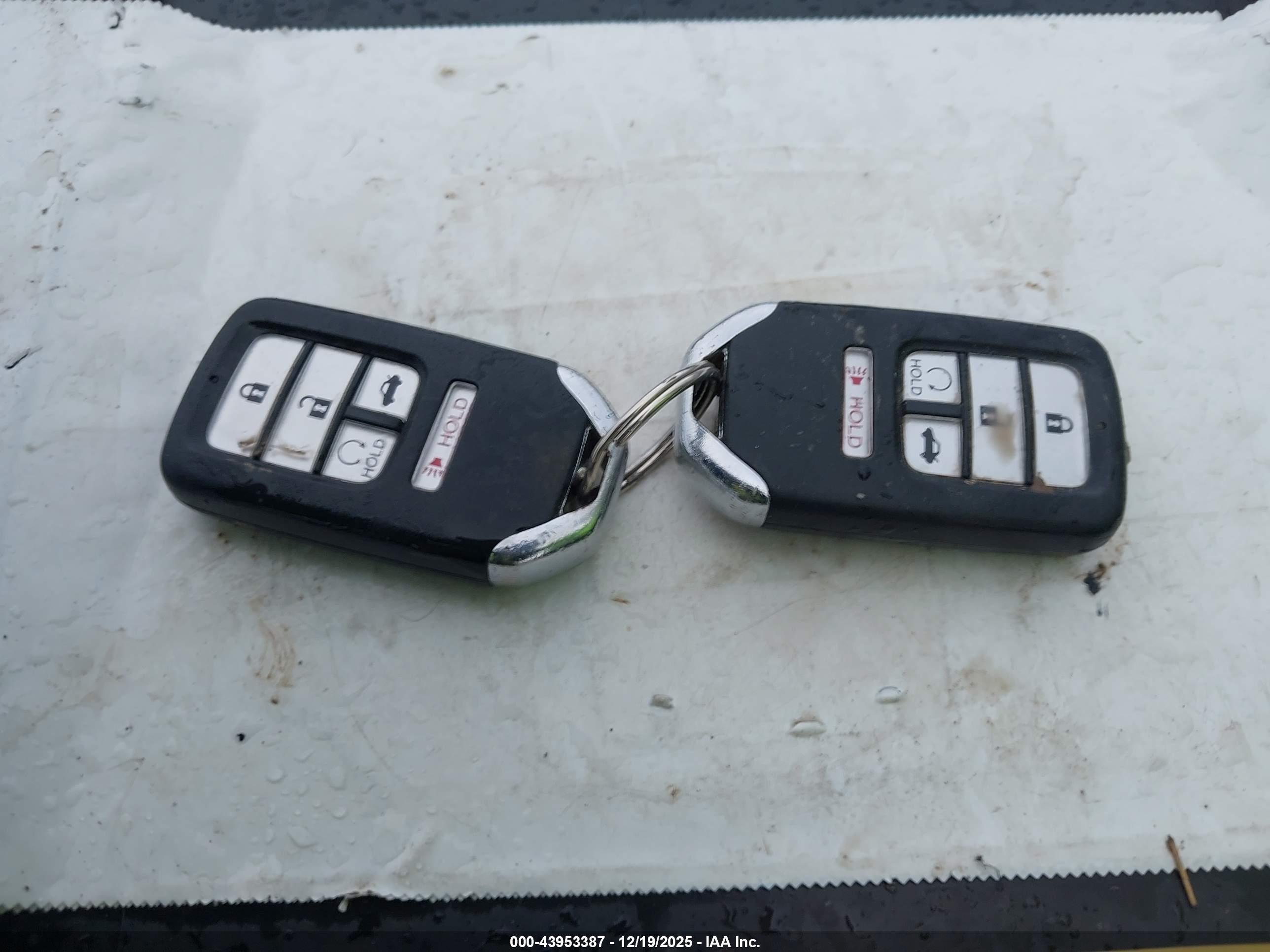 HONDA ACCORD image 11