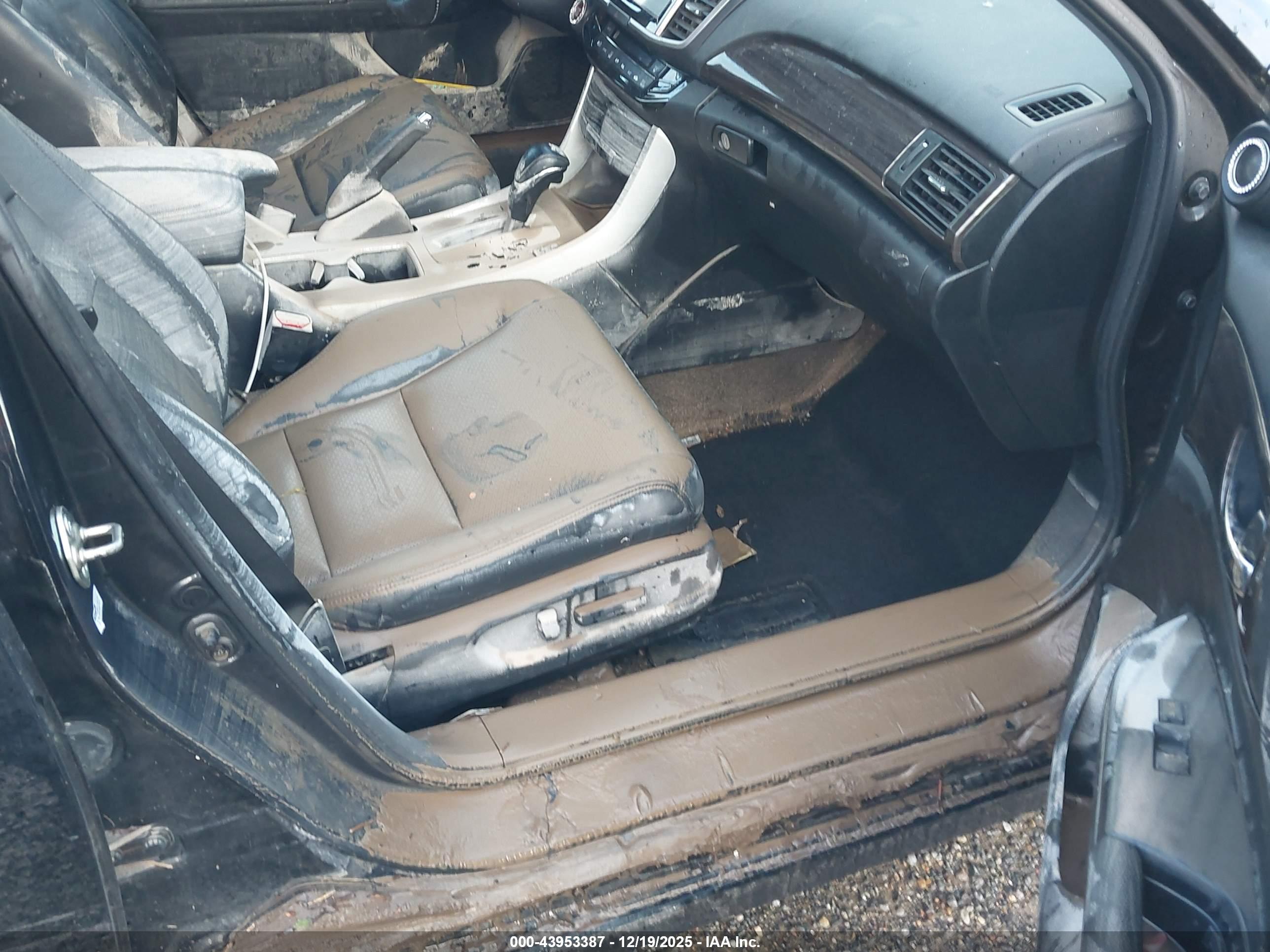 HONDA ACCORD image 6
