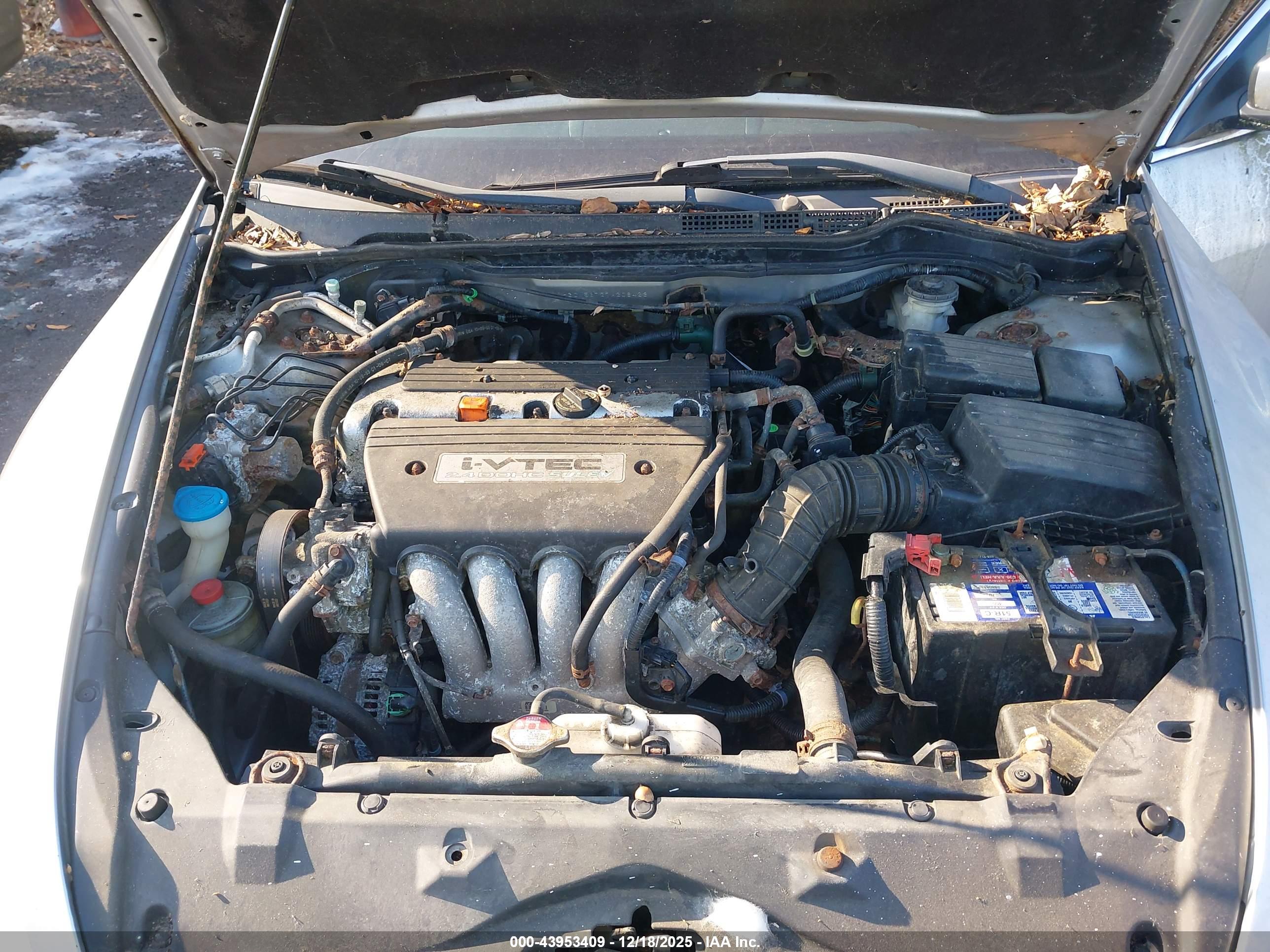 HONDA ACCORD image 10