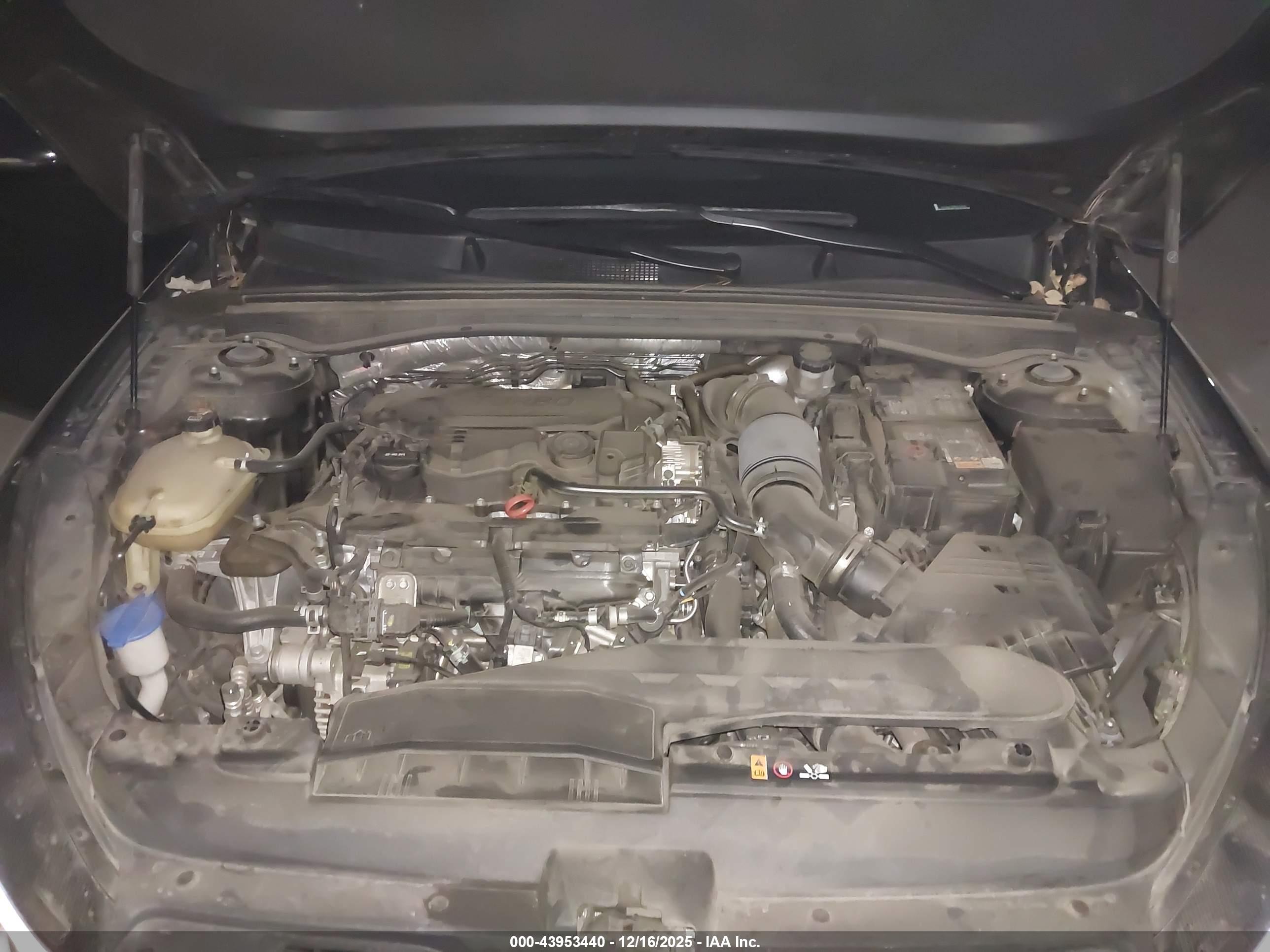 KIA K5 image 10