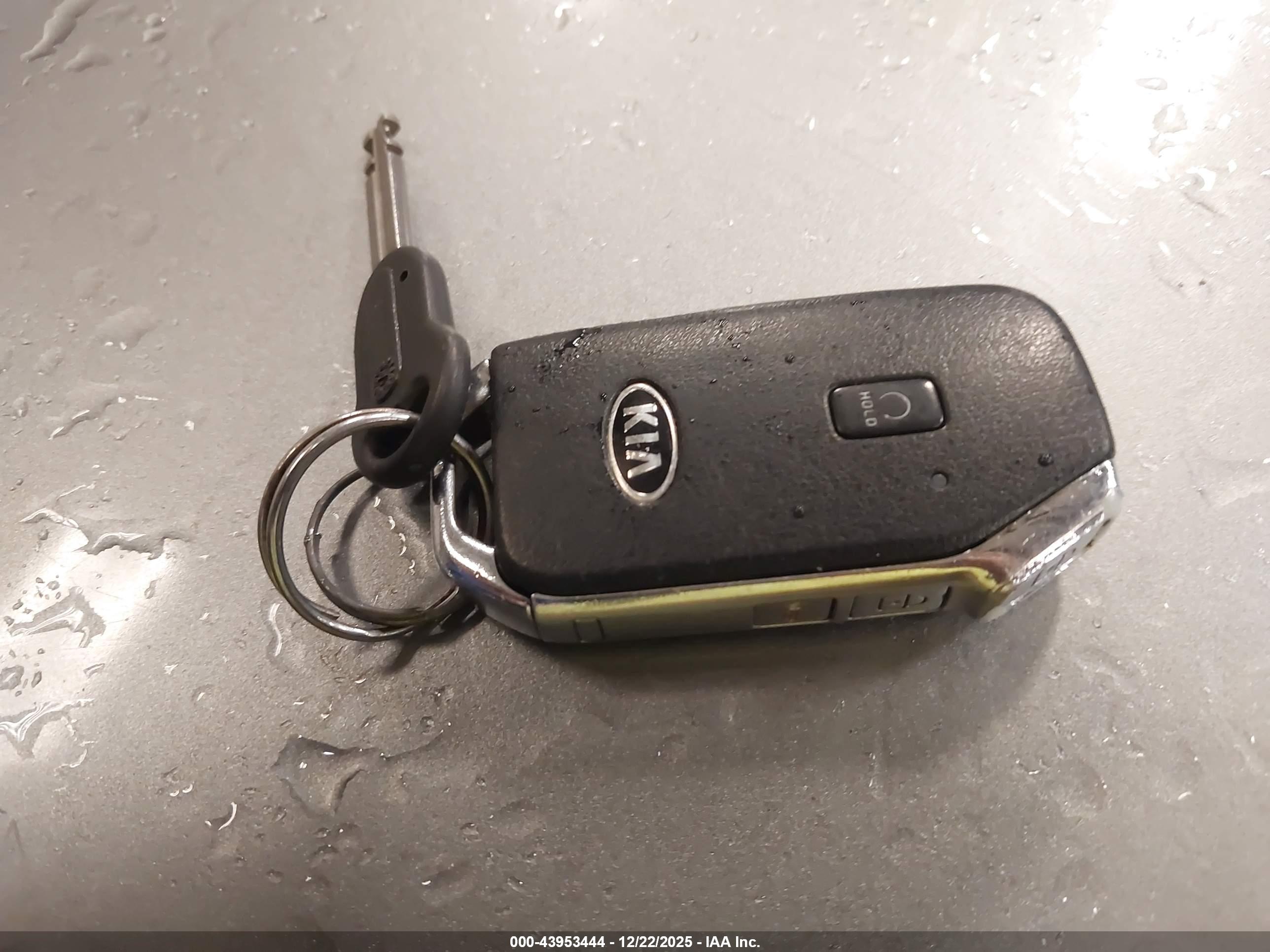 KIA SELTOS image 11