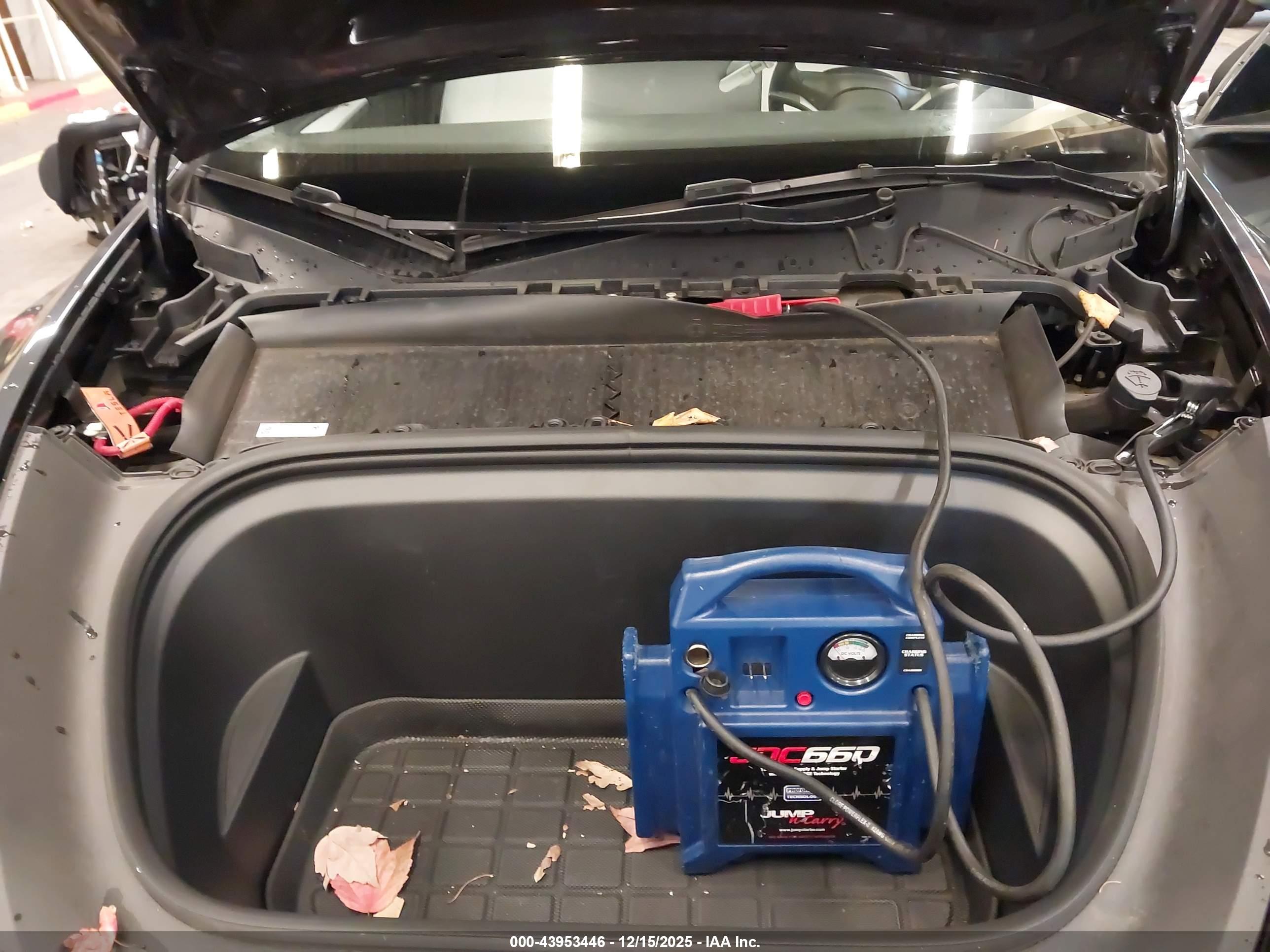TESLA MODEL image 10