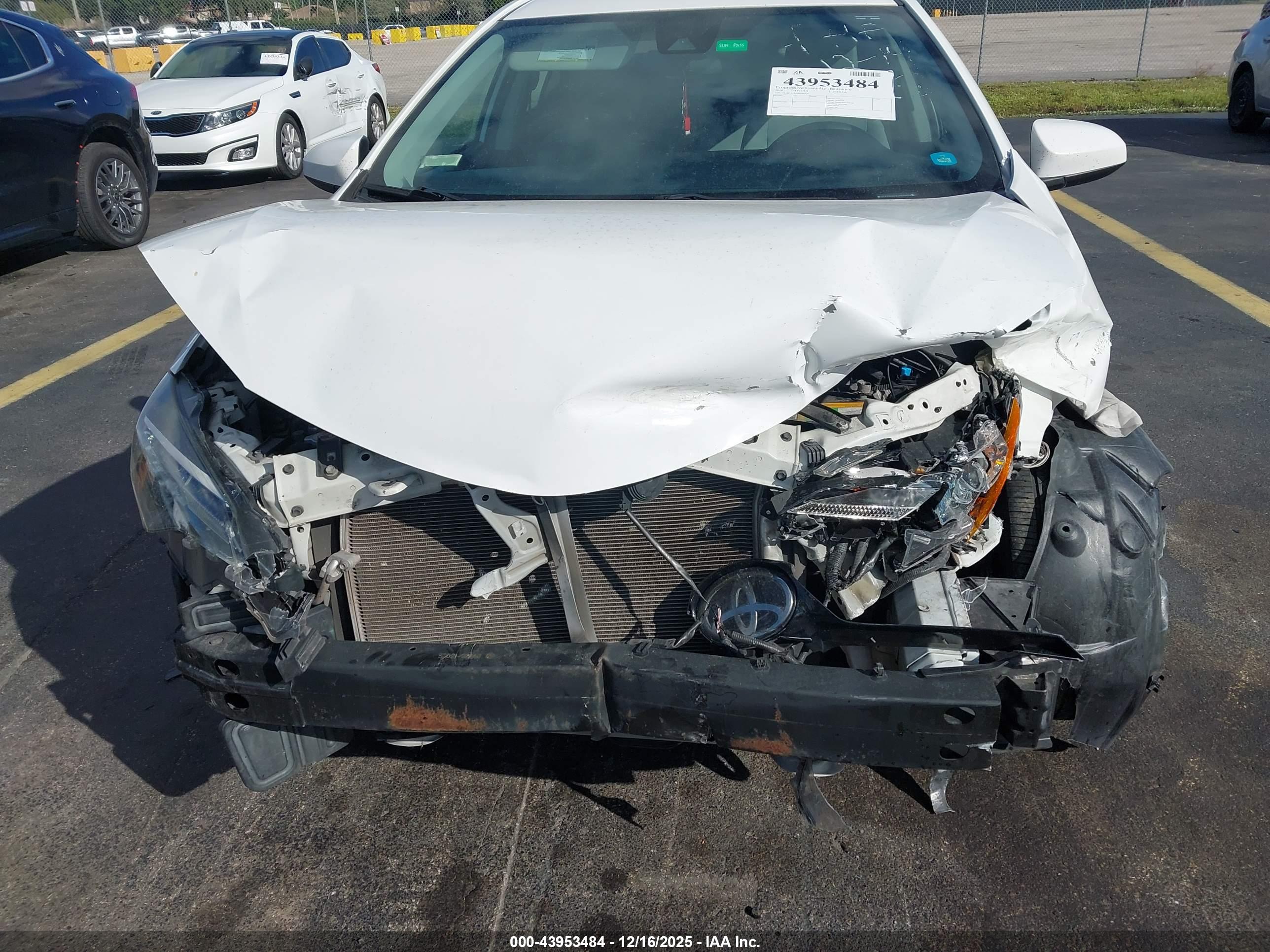 TOYOTA COROLLA image 6