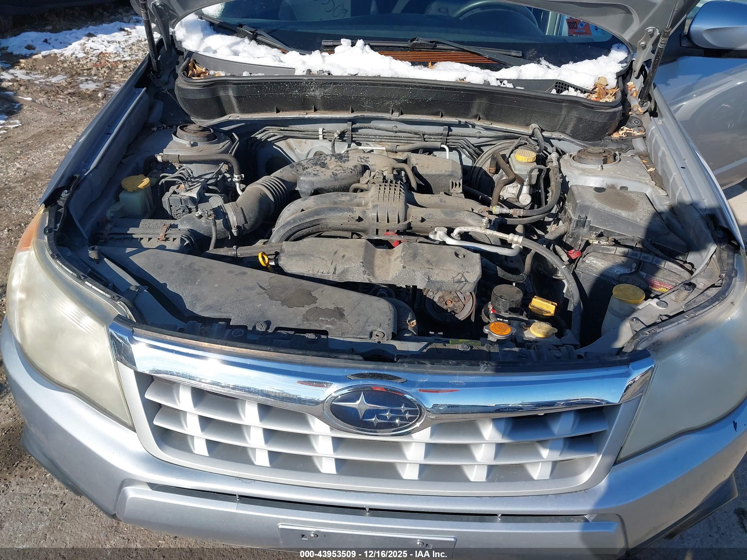 SUBARU FORESTER image 10