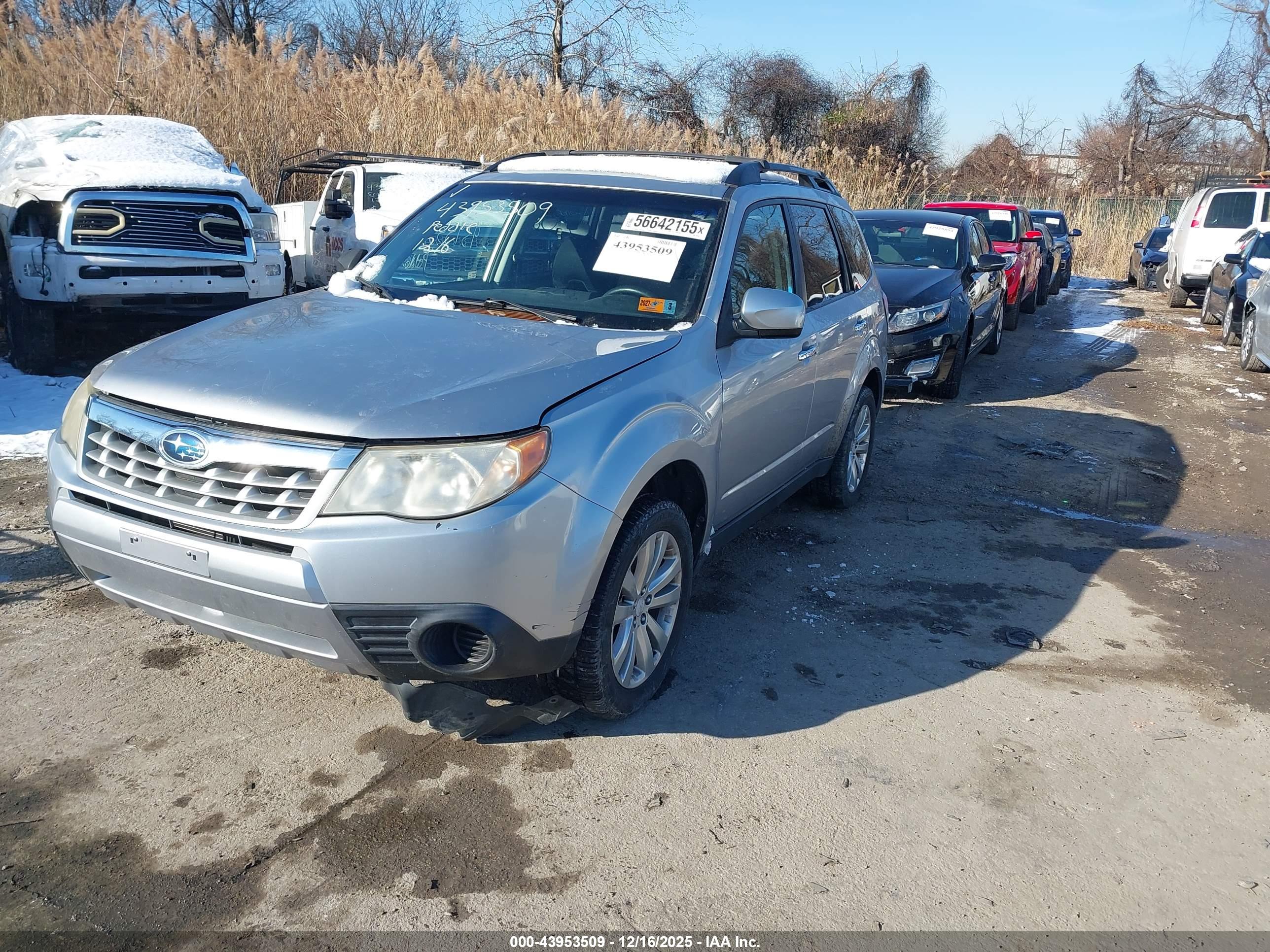 SUBARU FORESTER image 2