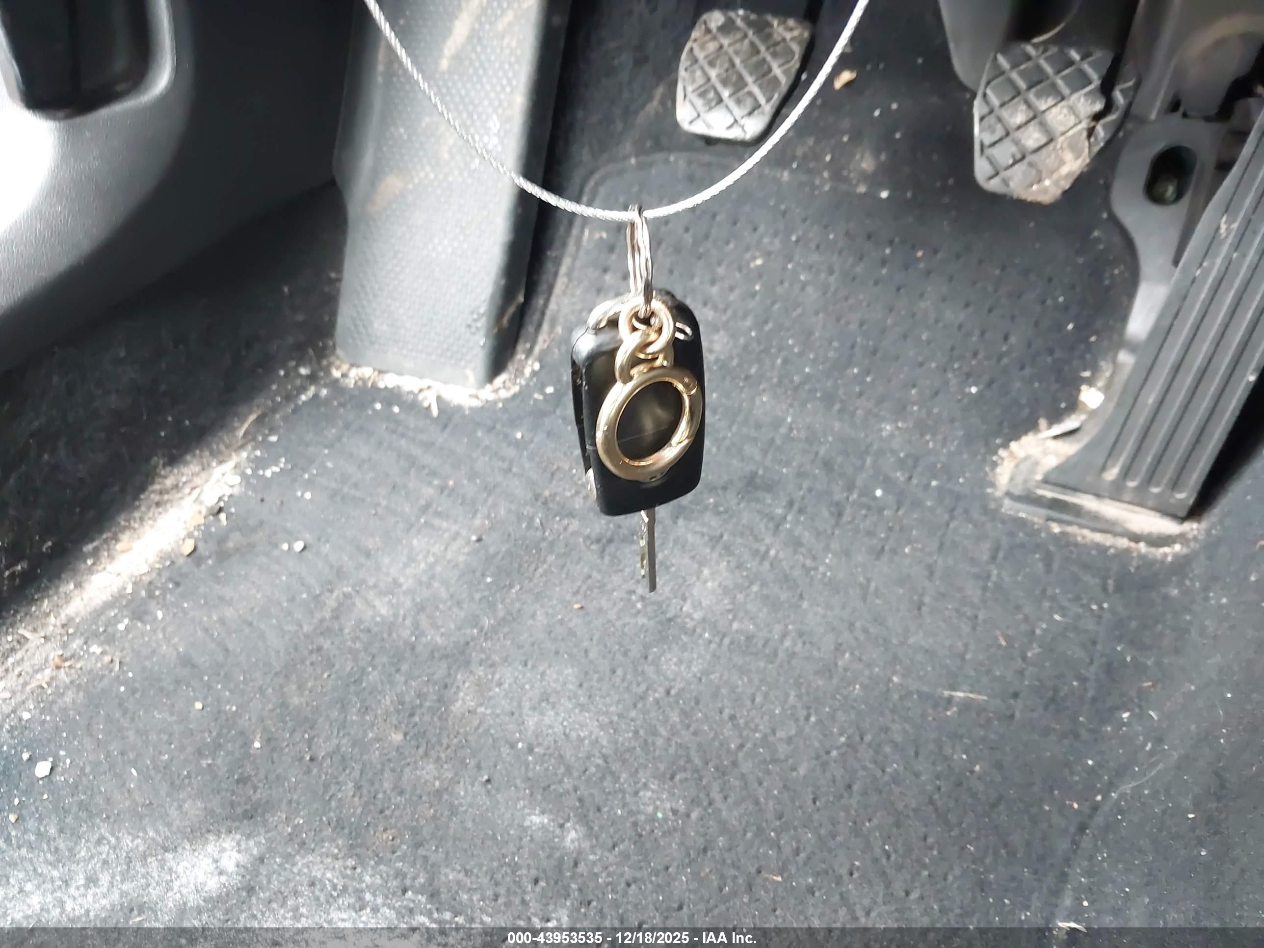 VOLKSWAGEN BEETLE image 11
