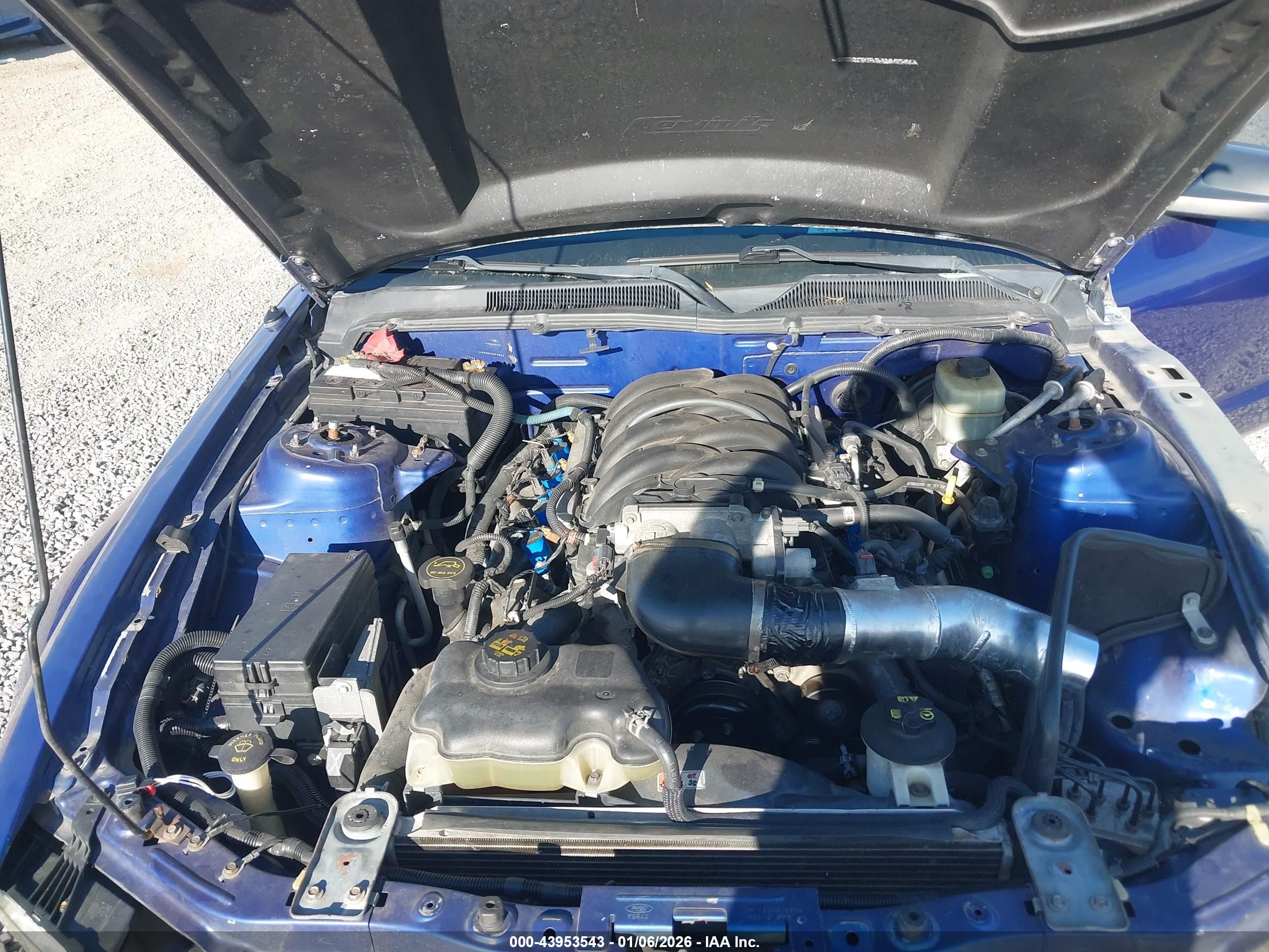 FORD MUSTANG image 10