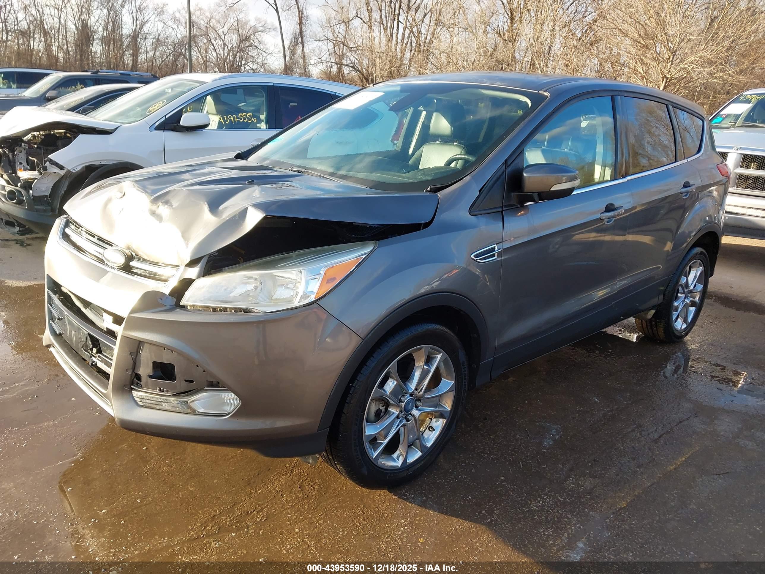 FORD ESCAPE image 2