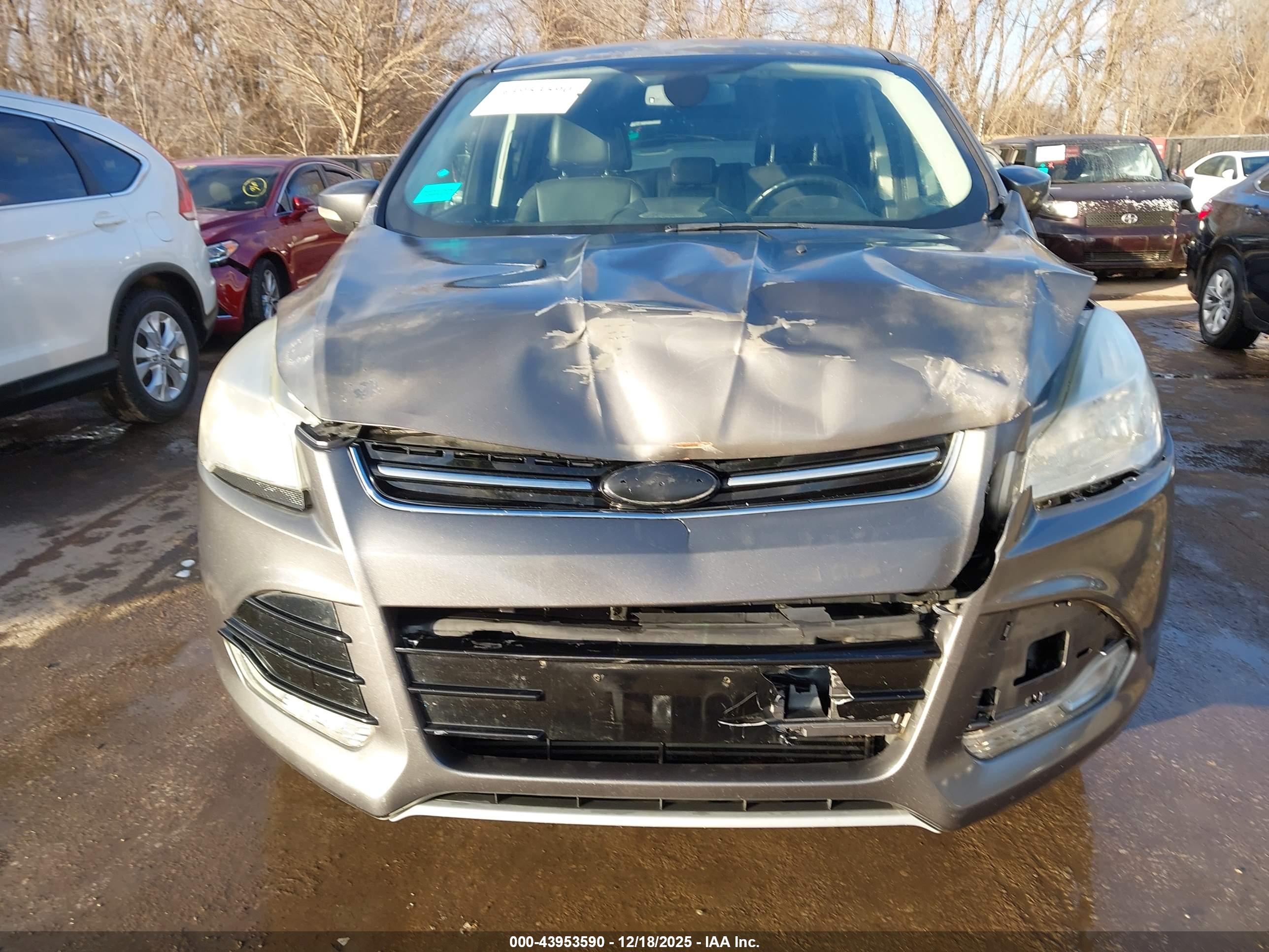 FORD ESCAPE image 6