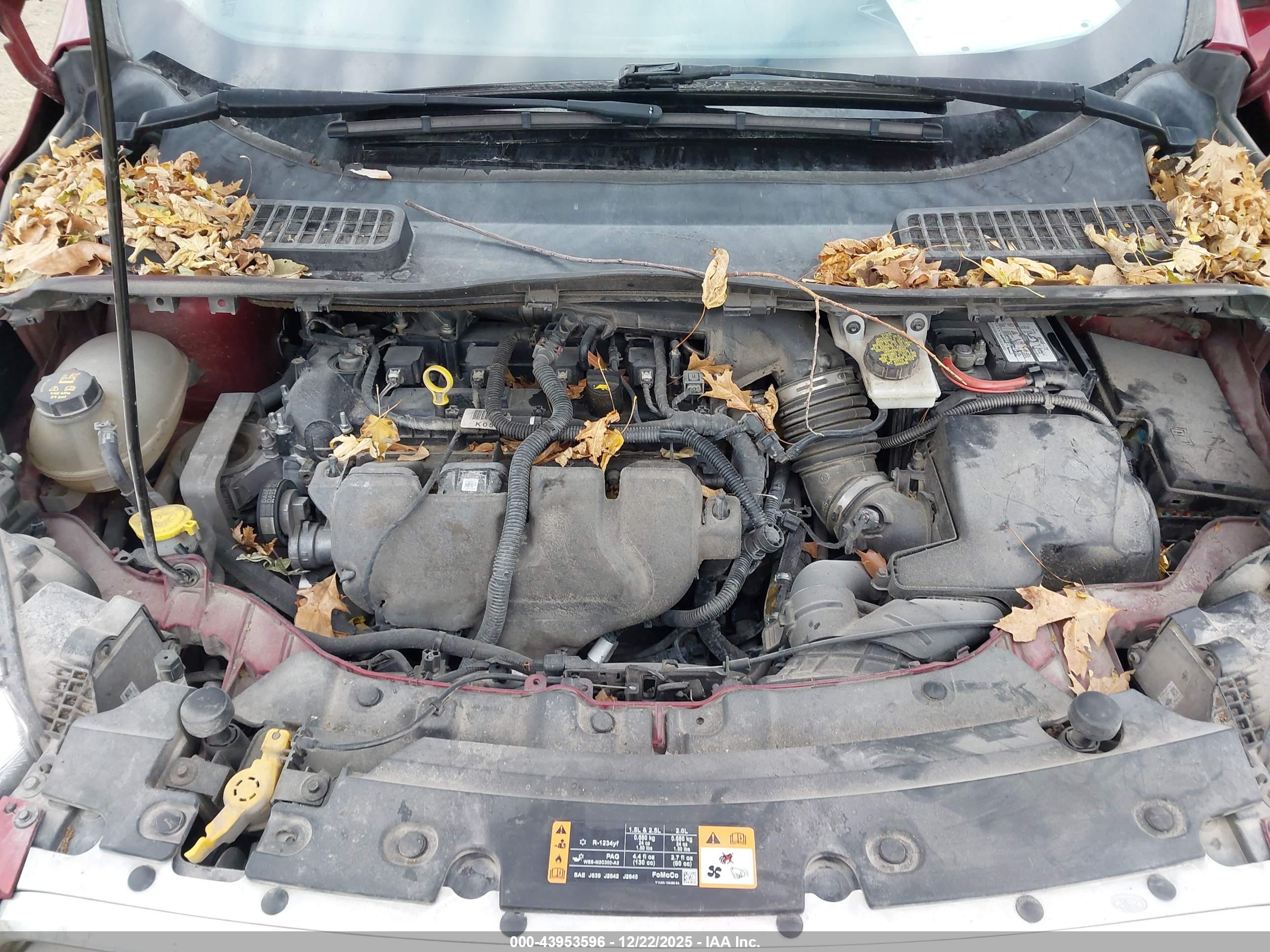FORD ESCAPE image 10