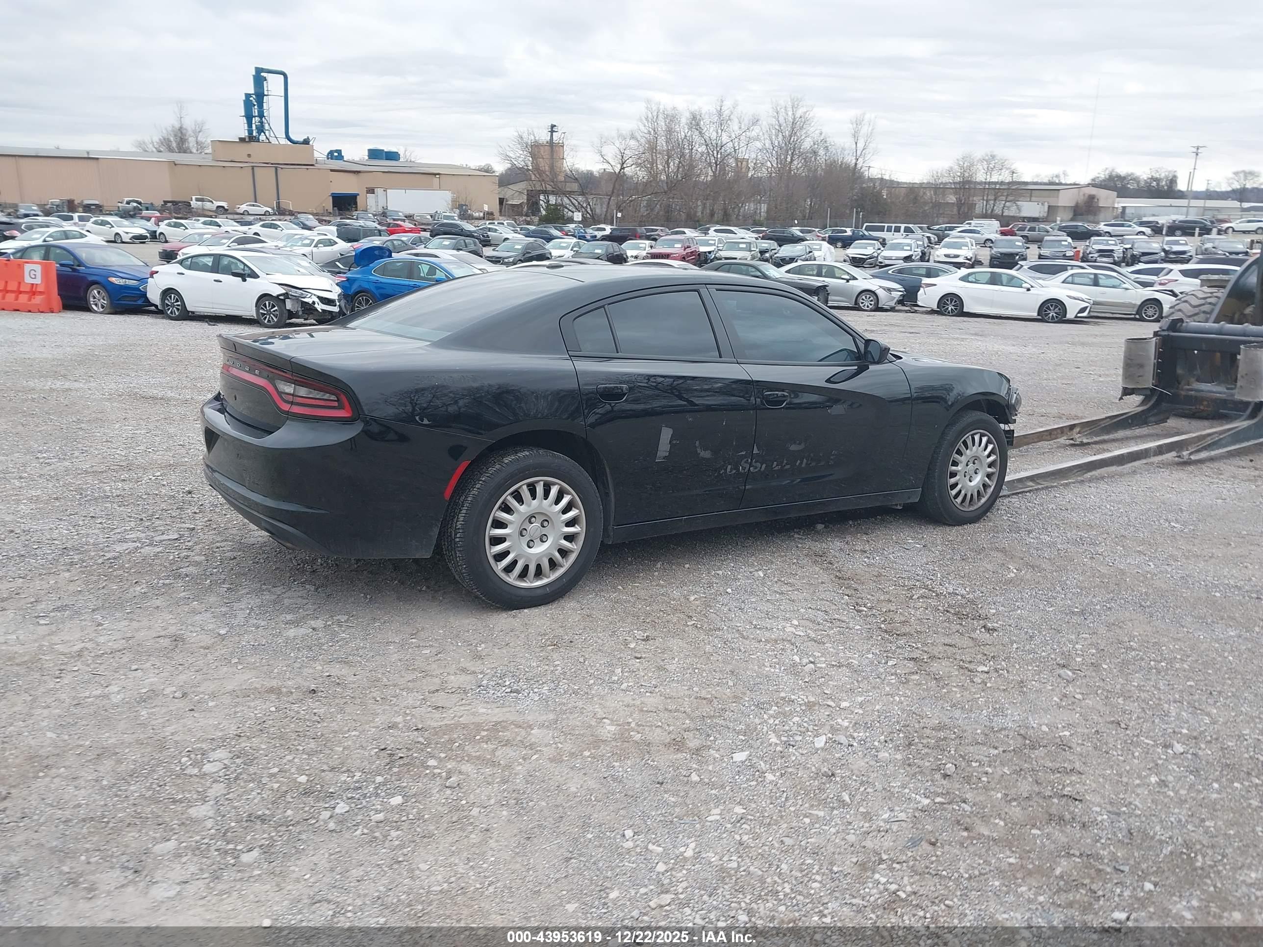 DODGE CHARGER image 4