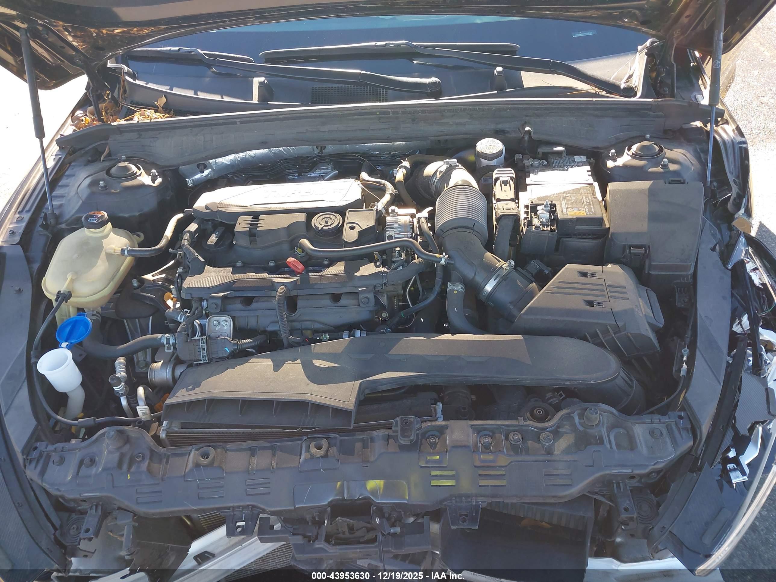 KIA K5 image 10
