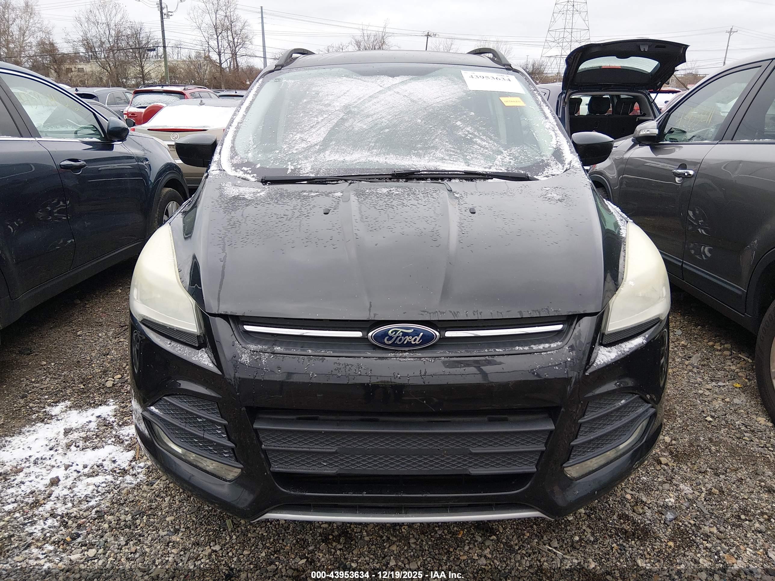FORD ESCAPE image 6