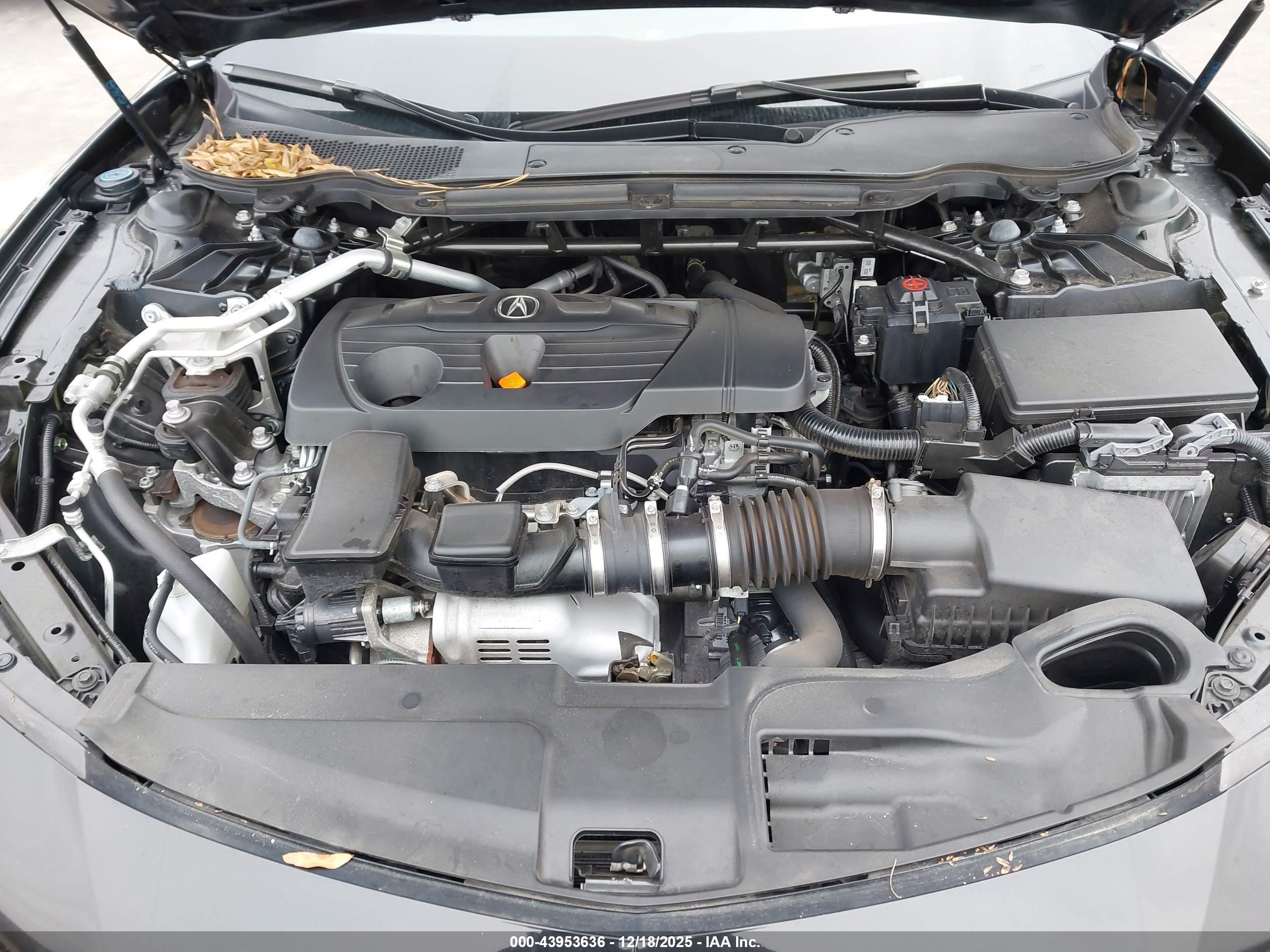 ACURA TLX image 10