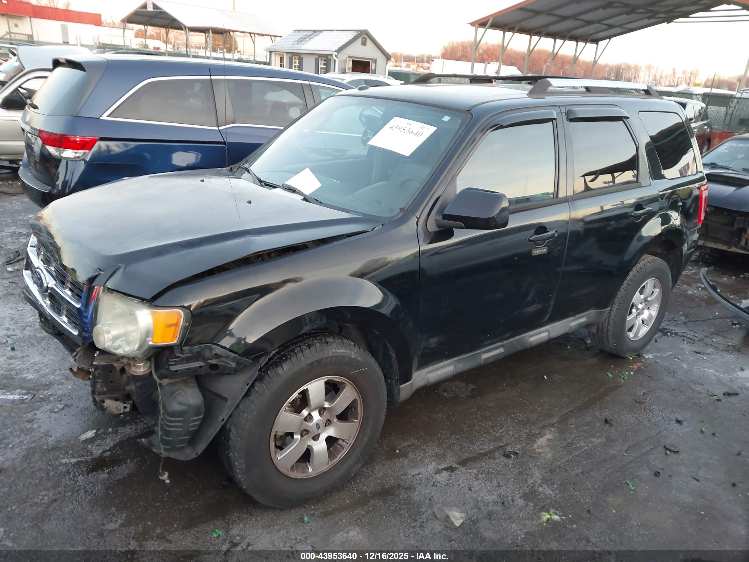 FORD ESCAPE image 2