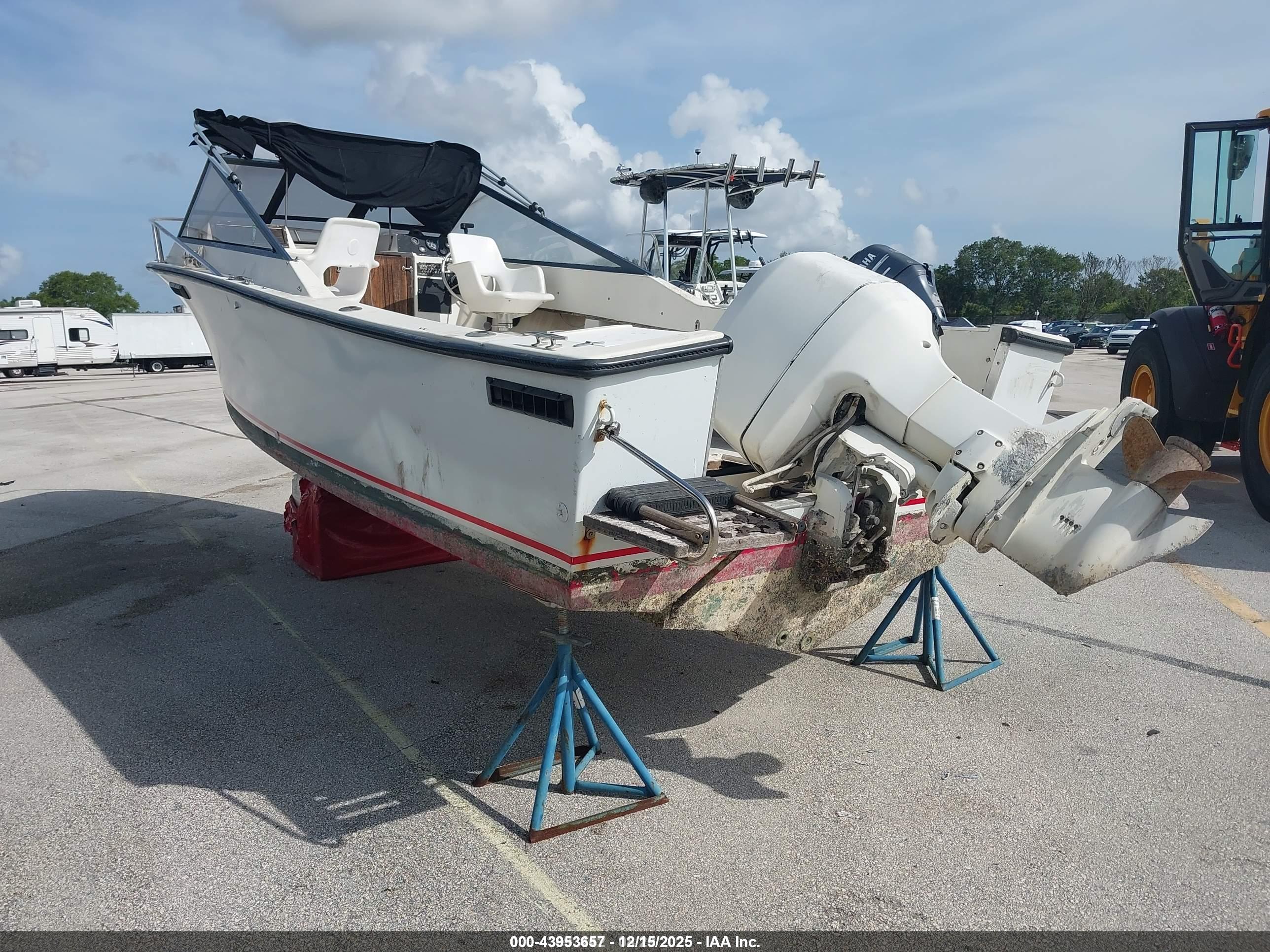 SEA CRAFT image 3