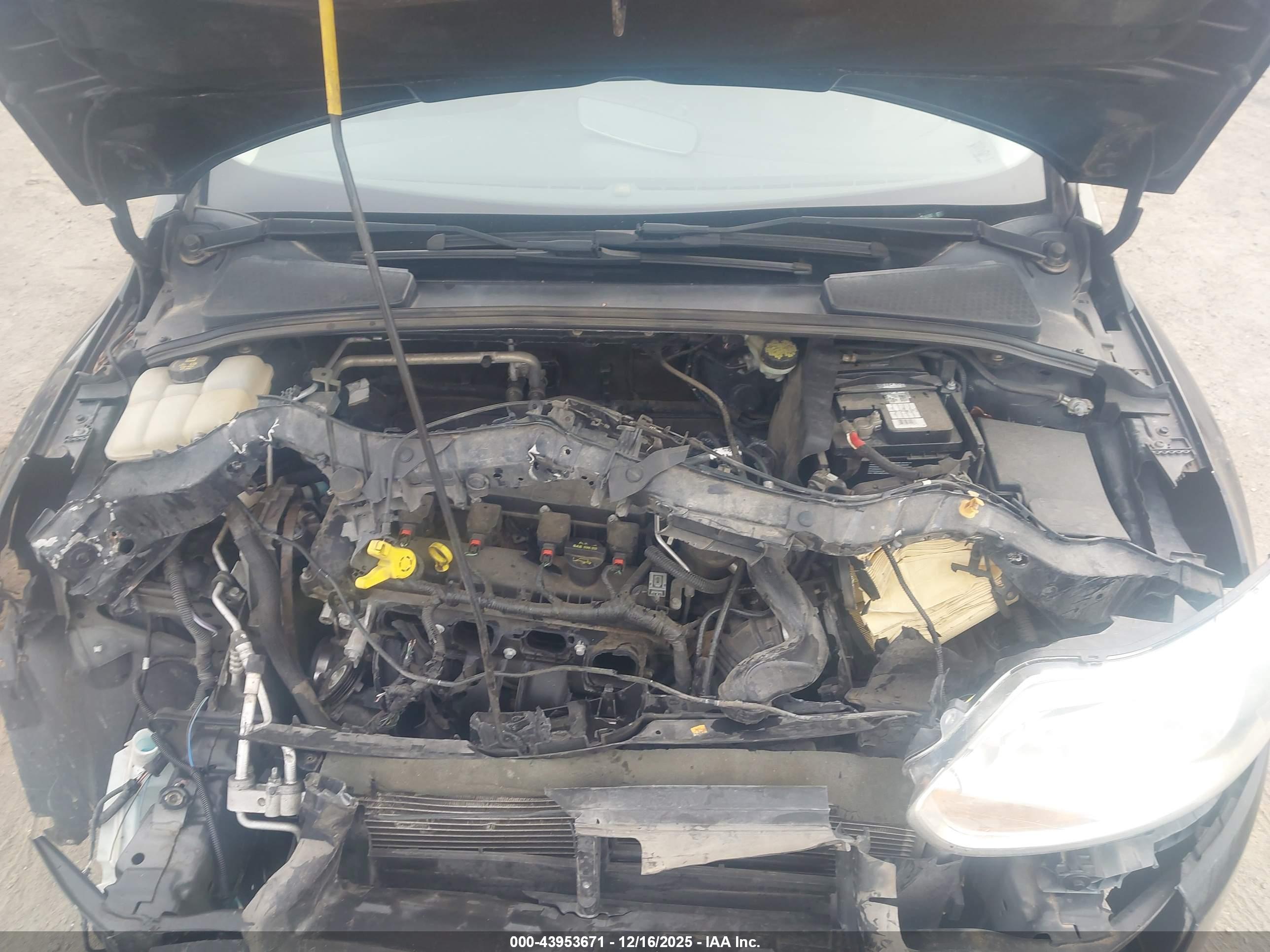 FORD FOCUS image 10