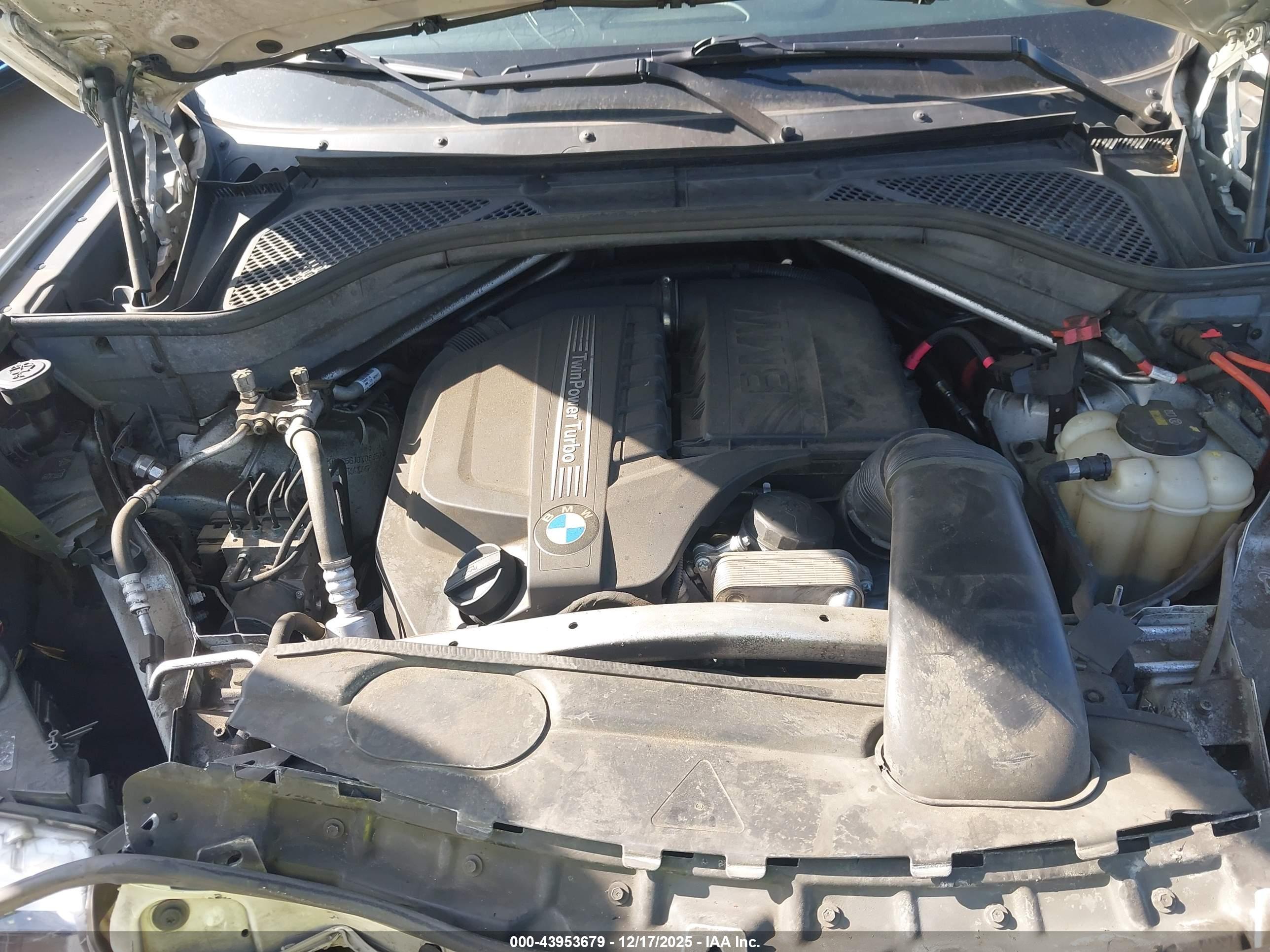 BMW X5 image 10