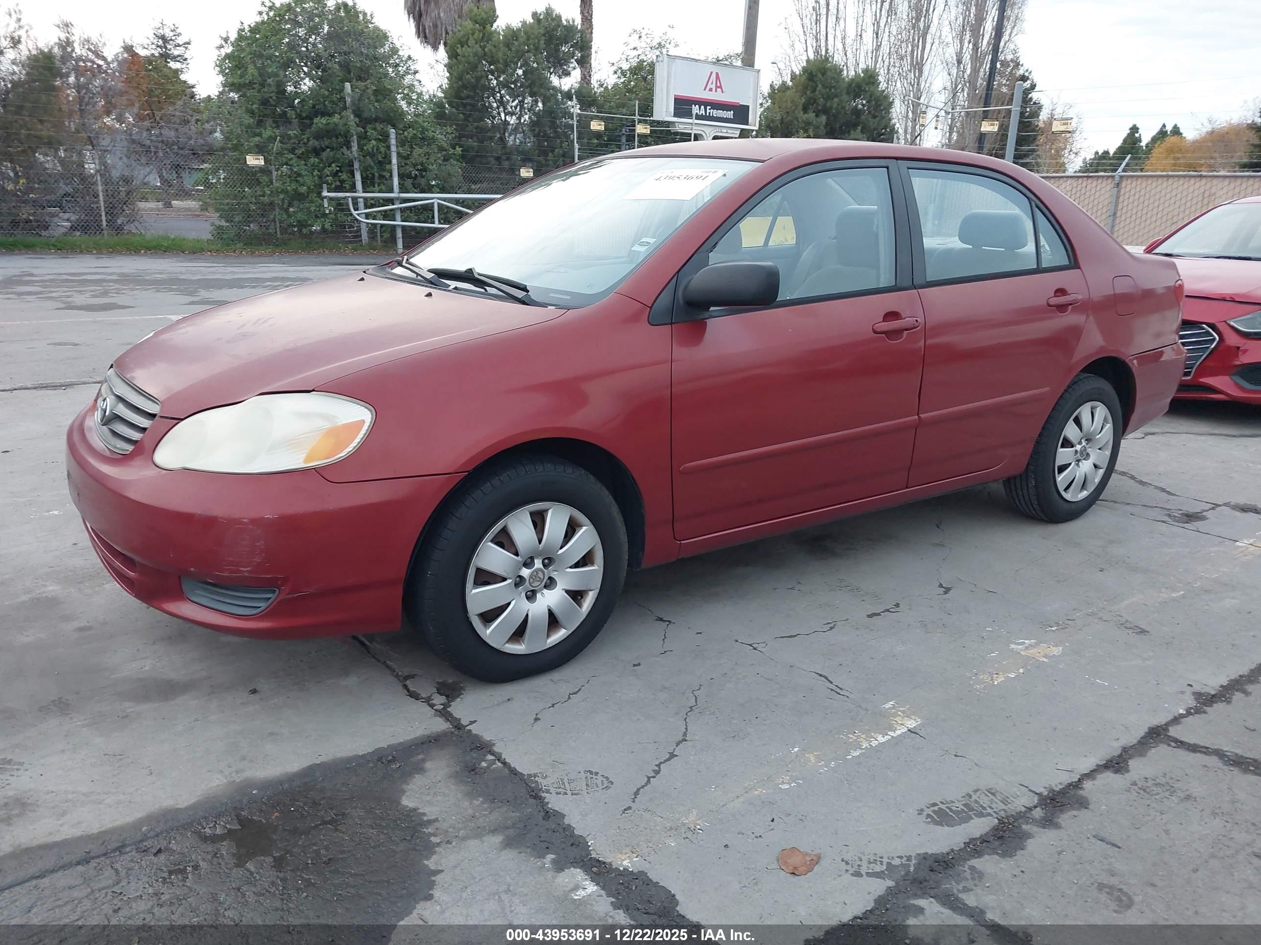 TOYOTA COROLLA image 2
