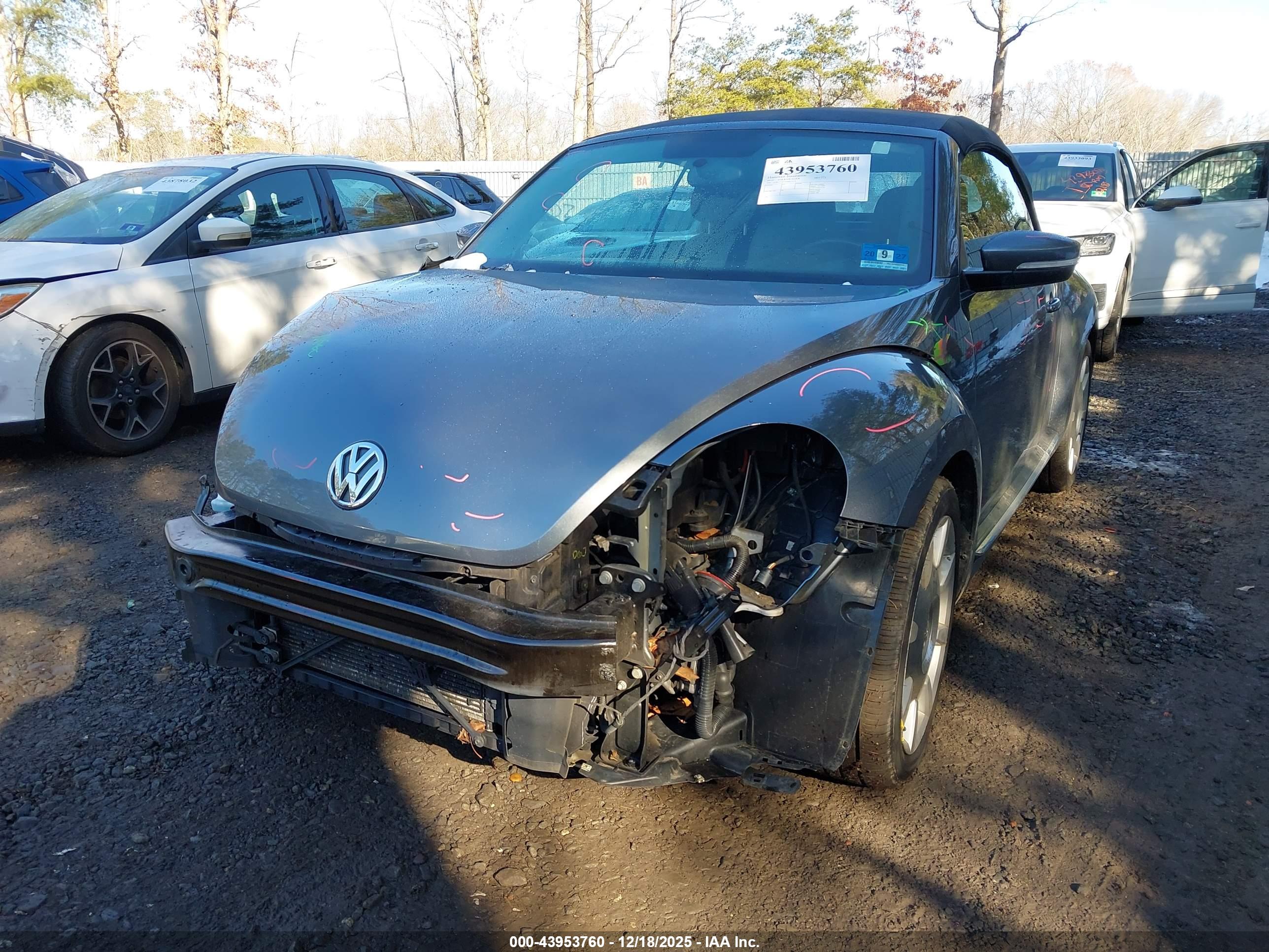 VOLKSWAGEN BEETLE image 2