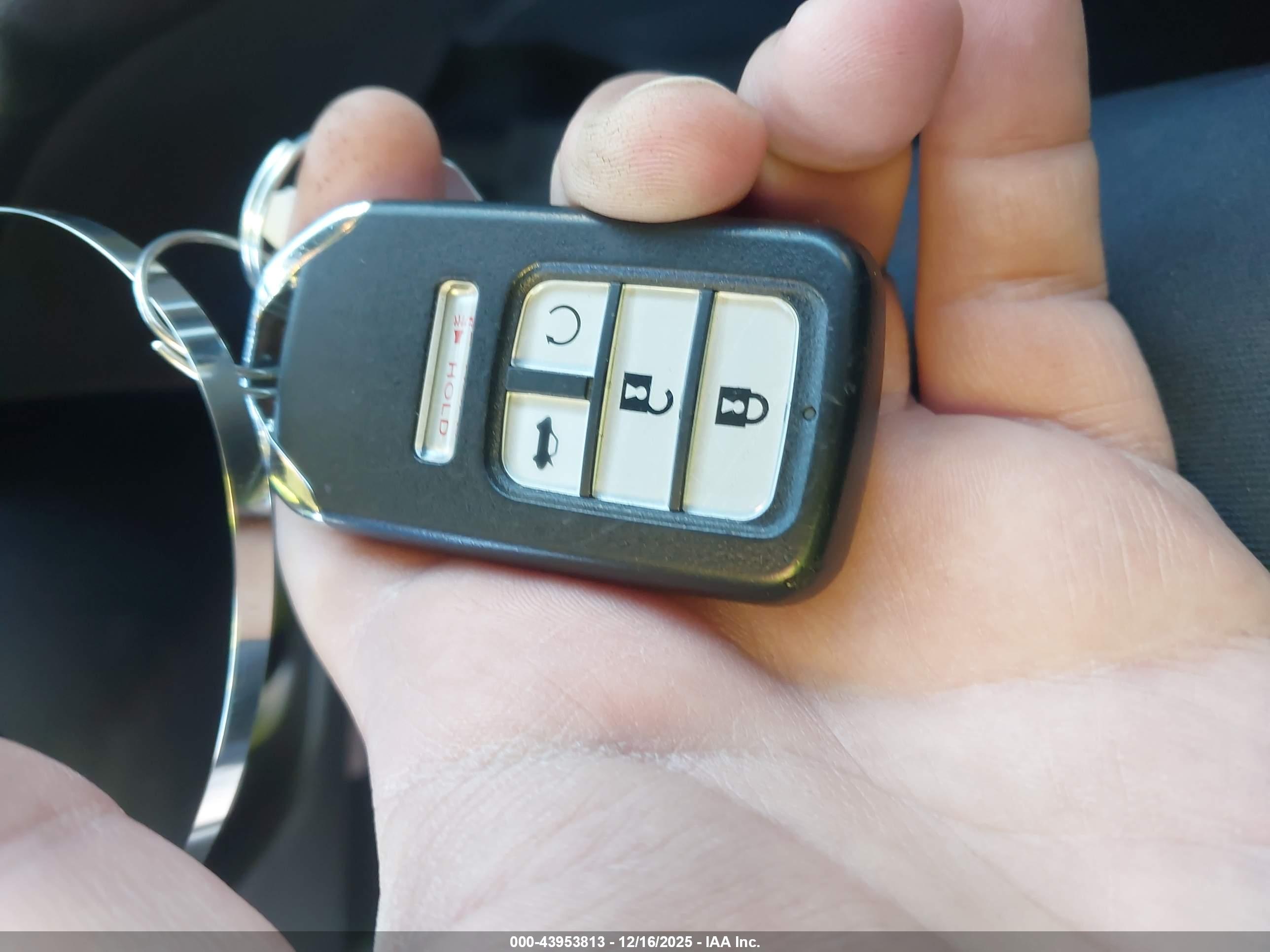 HONDA ACCORD image 11