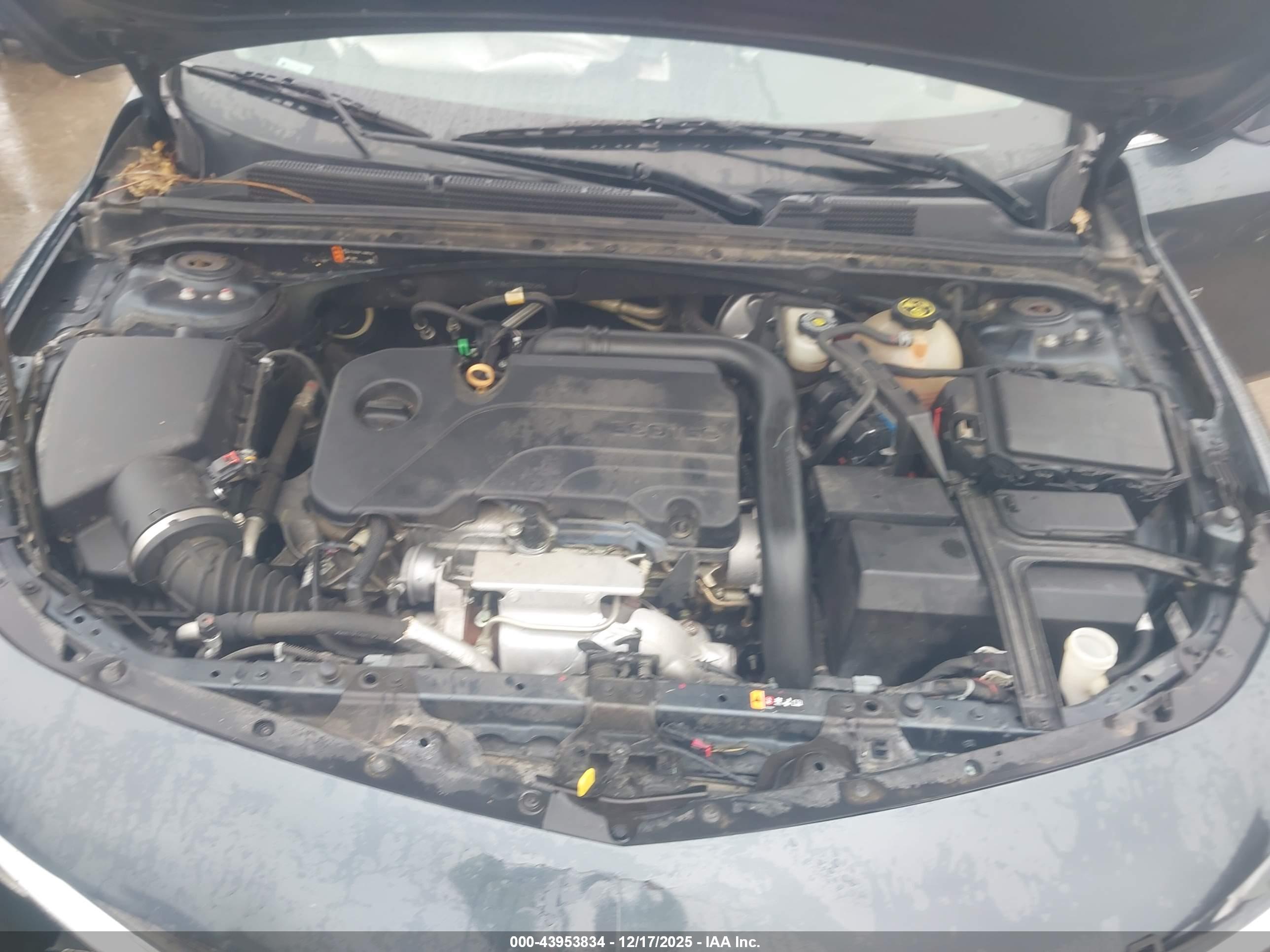 CHEVROLET MALIBU image 10
