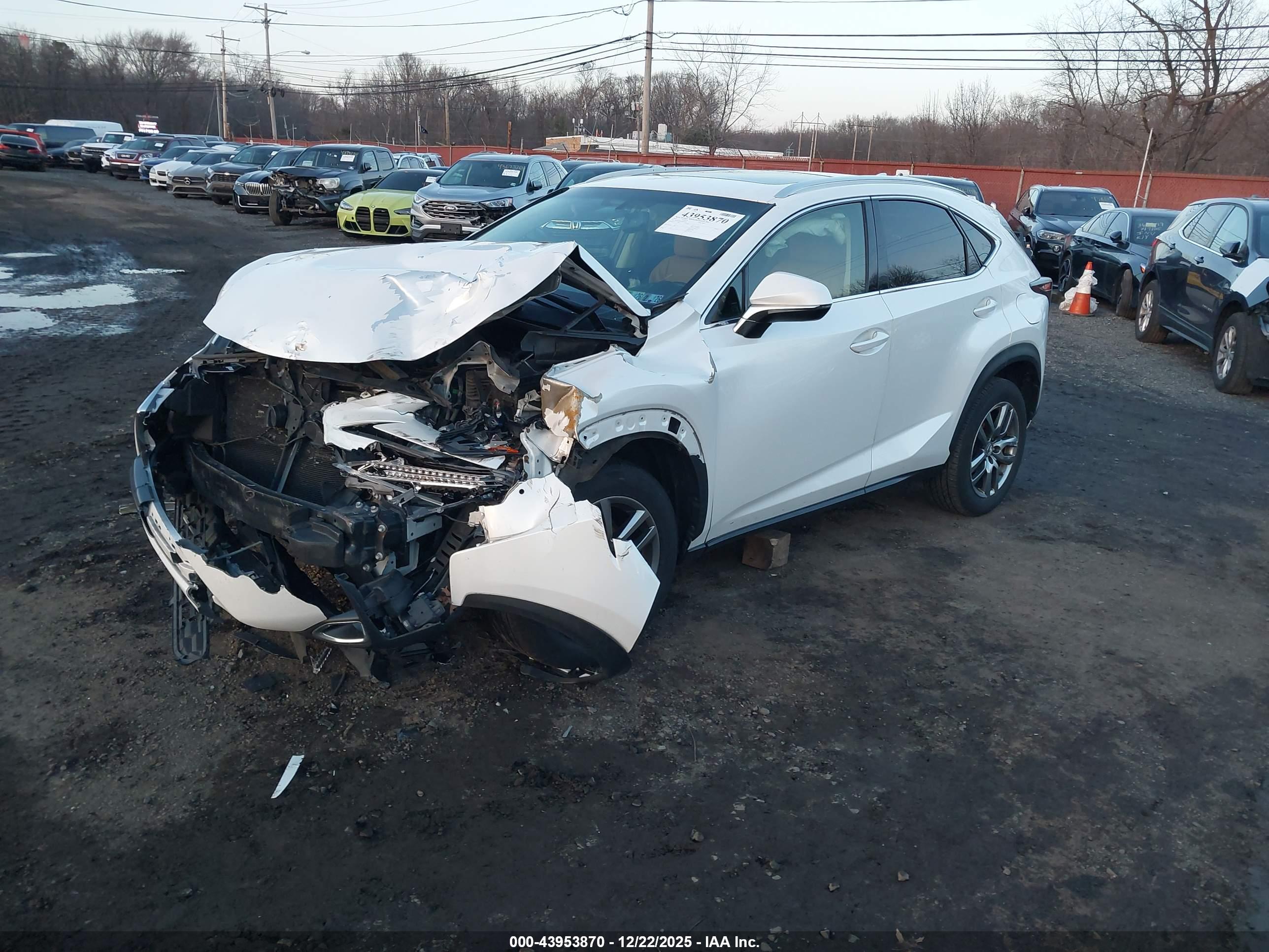 LEXUS NX image 2