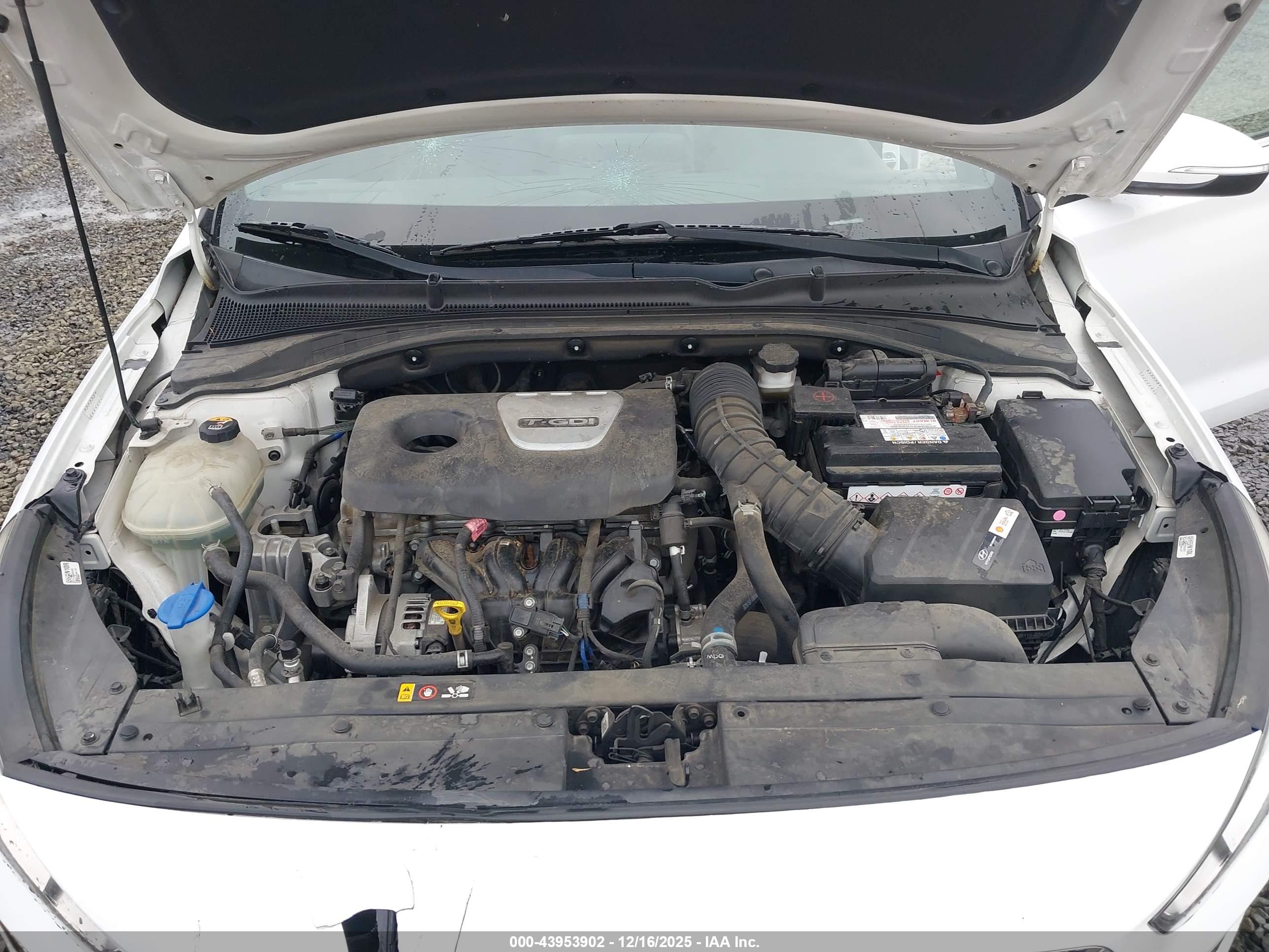 HYUNDAI ELANTRA image 10