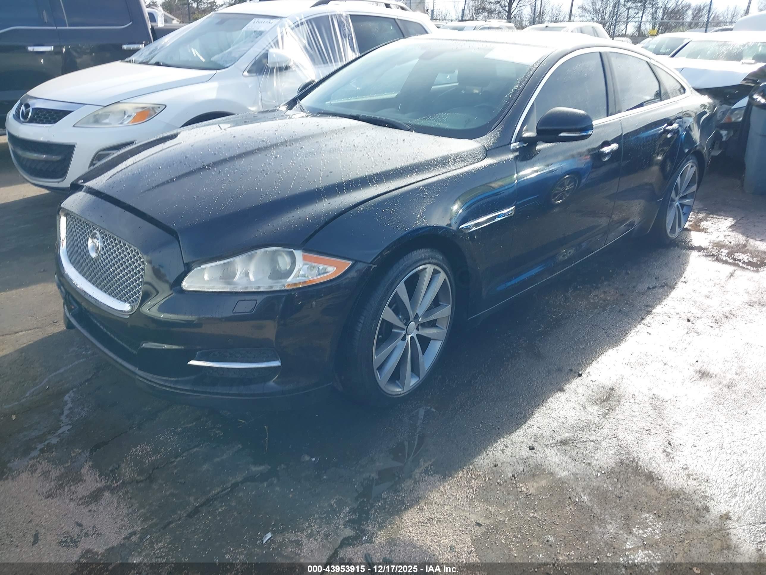 JAGUAR XJ image 2
