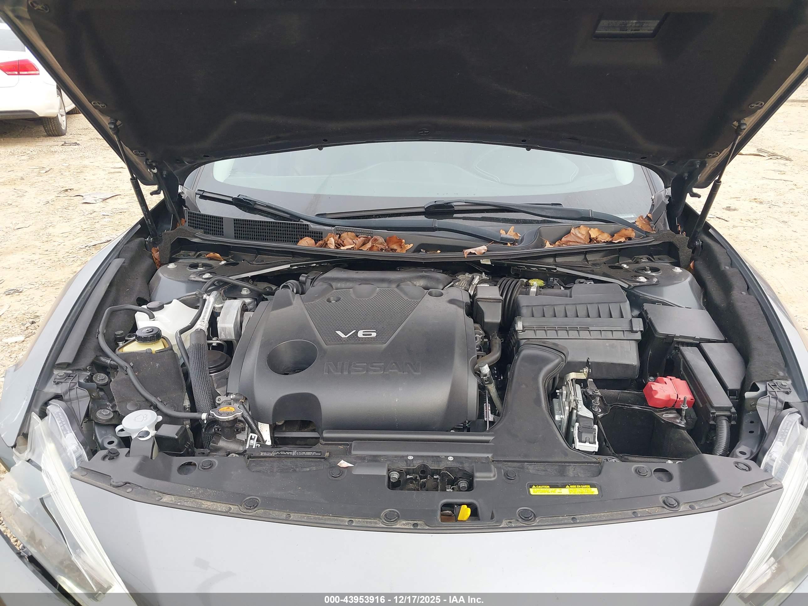 NISSAN MAXIMA image 10