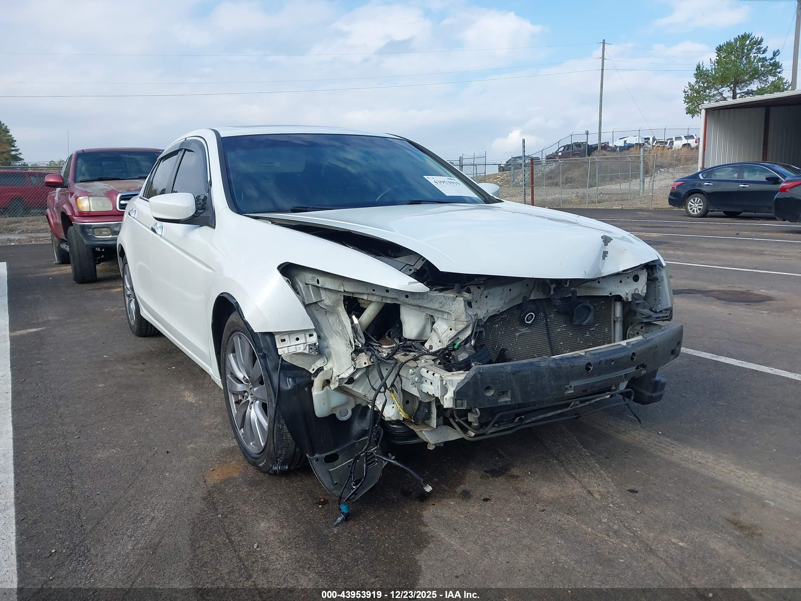 HONDA ACCORD image 6