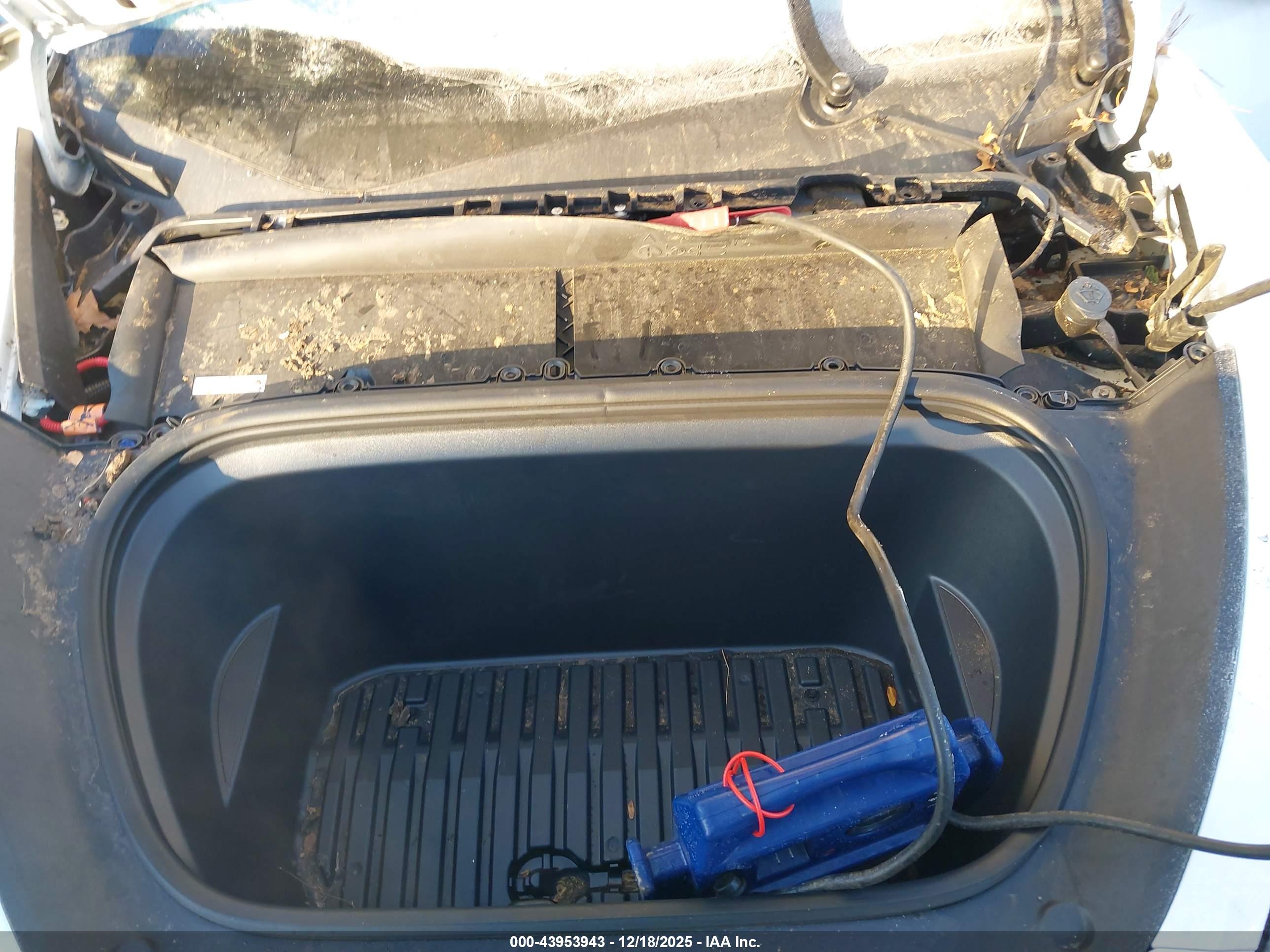 TESLA MODEL image 10