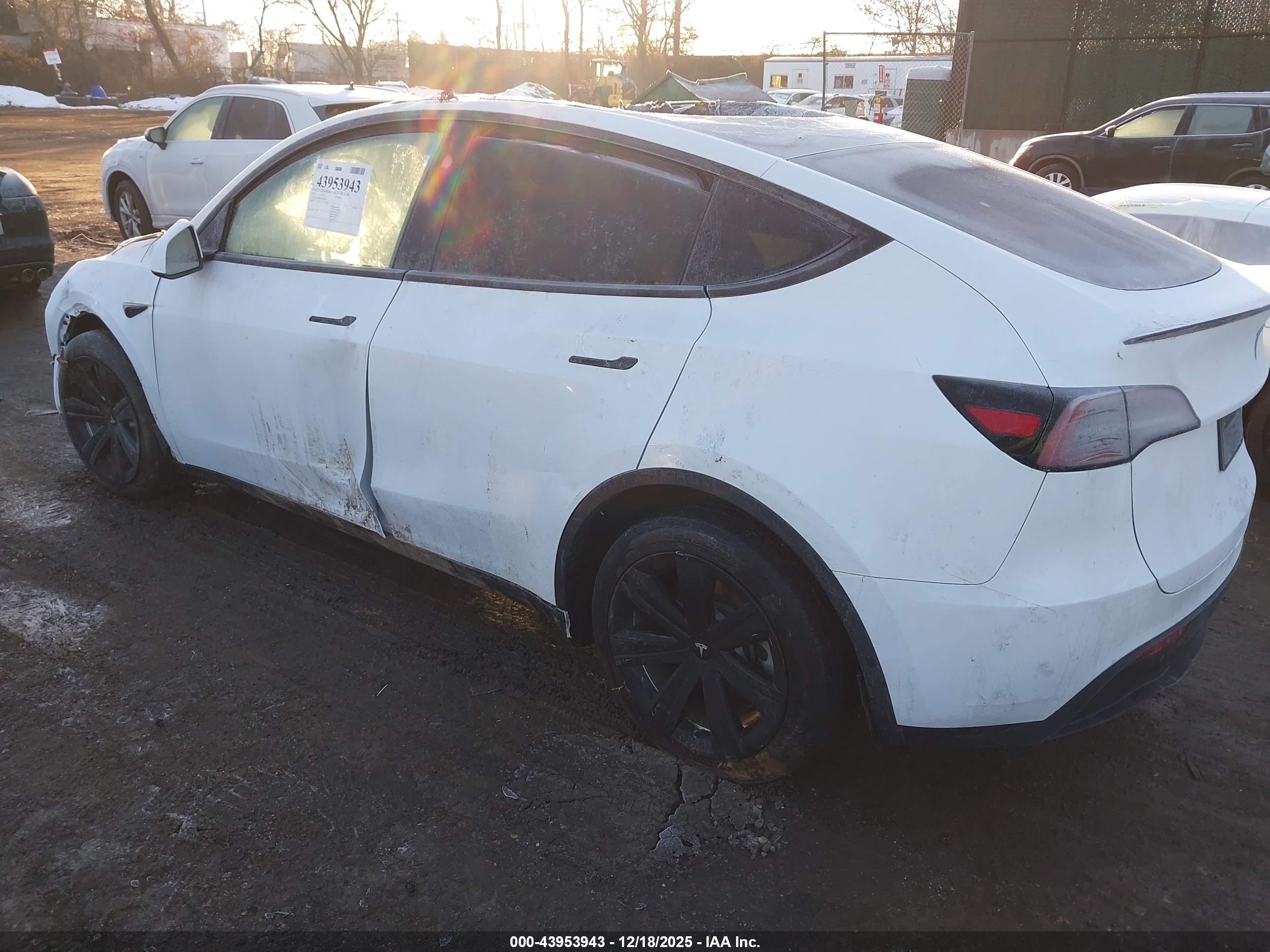 TESLA MODEL image 3
