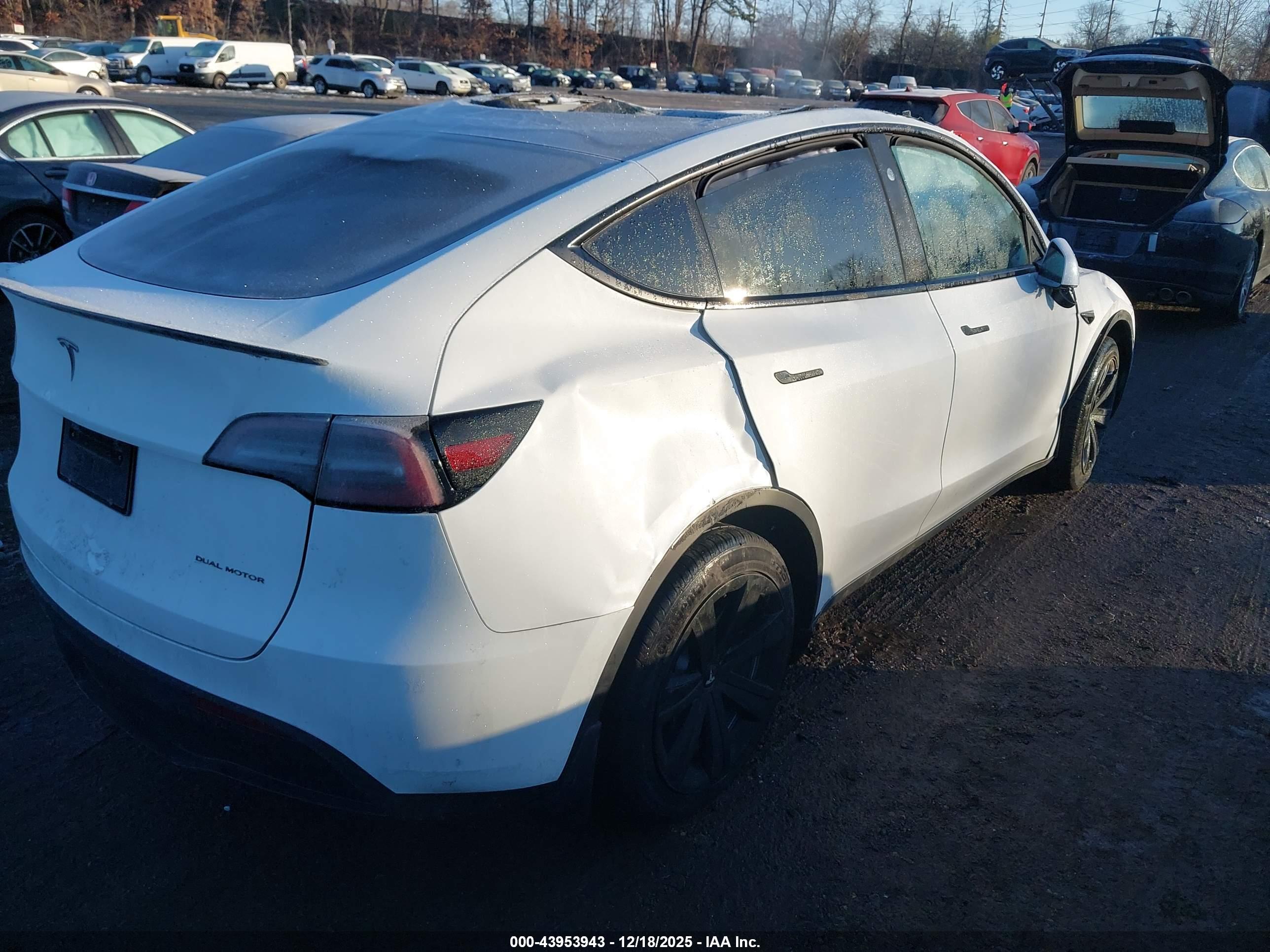 TESLA MODEL image 4