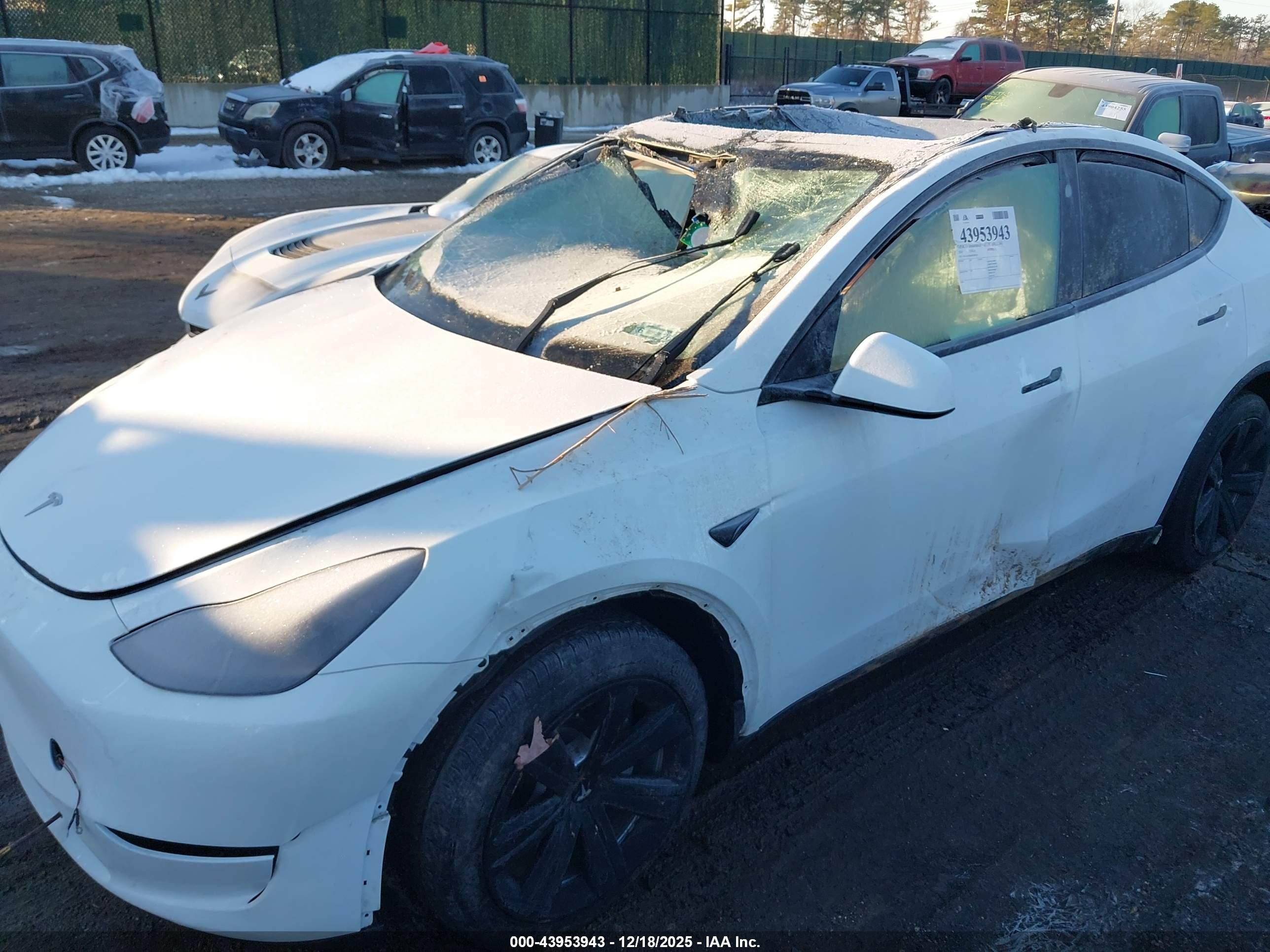 TESLA MODEL image 6