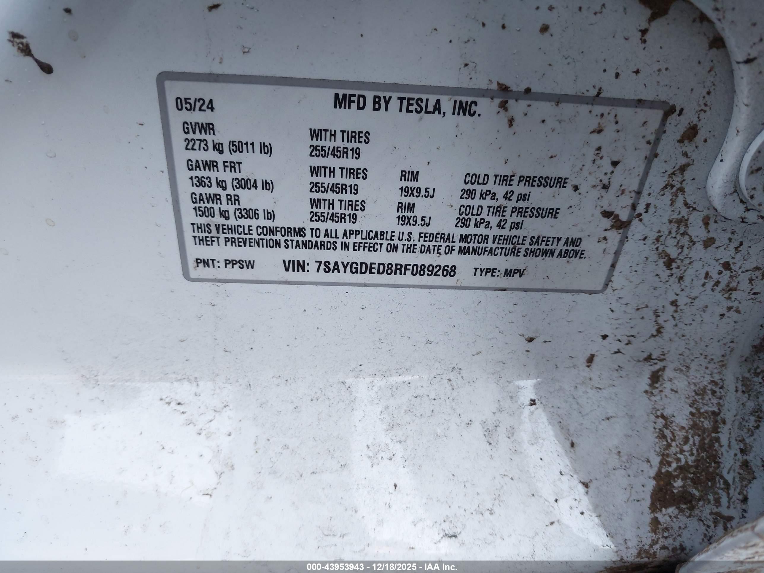 TESLA MODEL image 9
