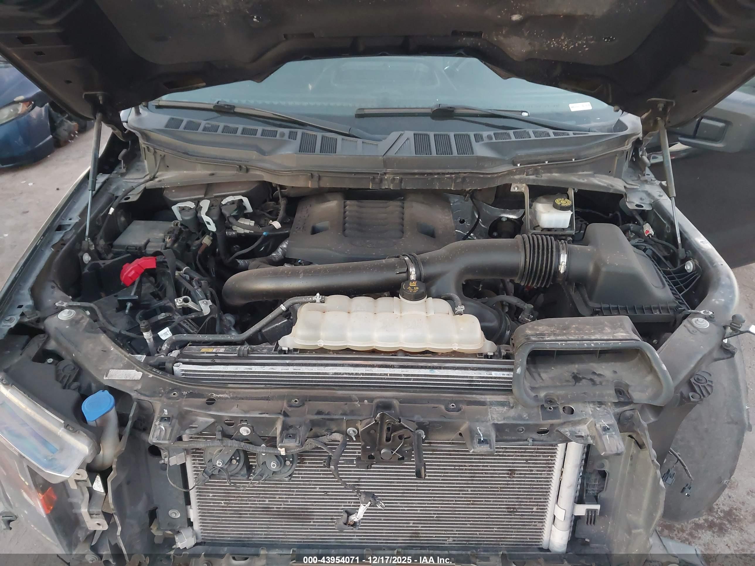 FORD F-150 image 10
