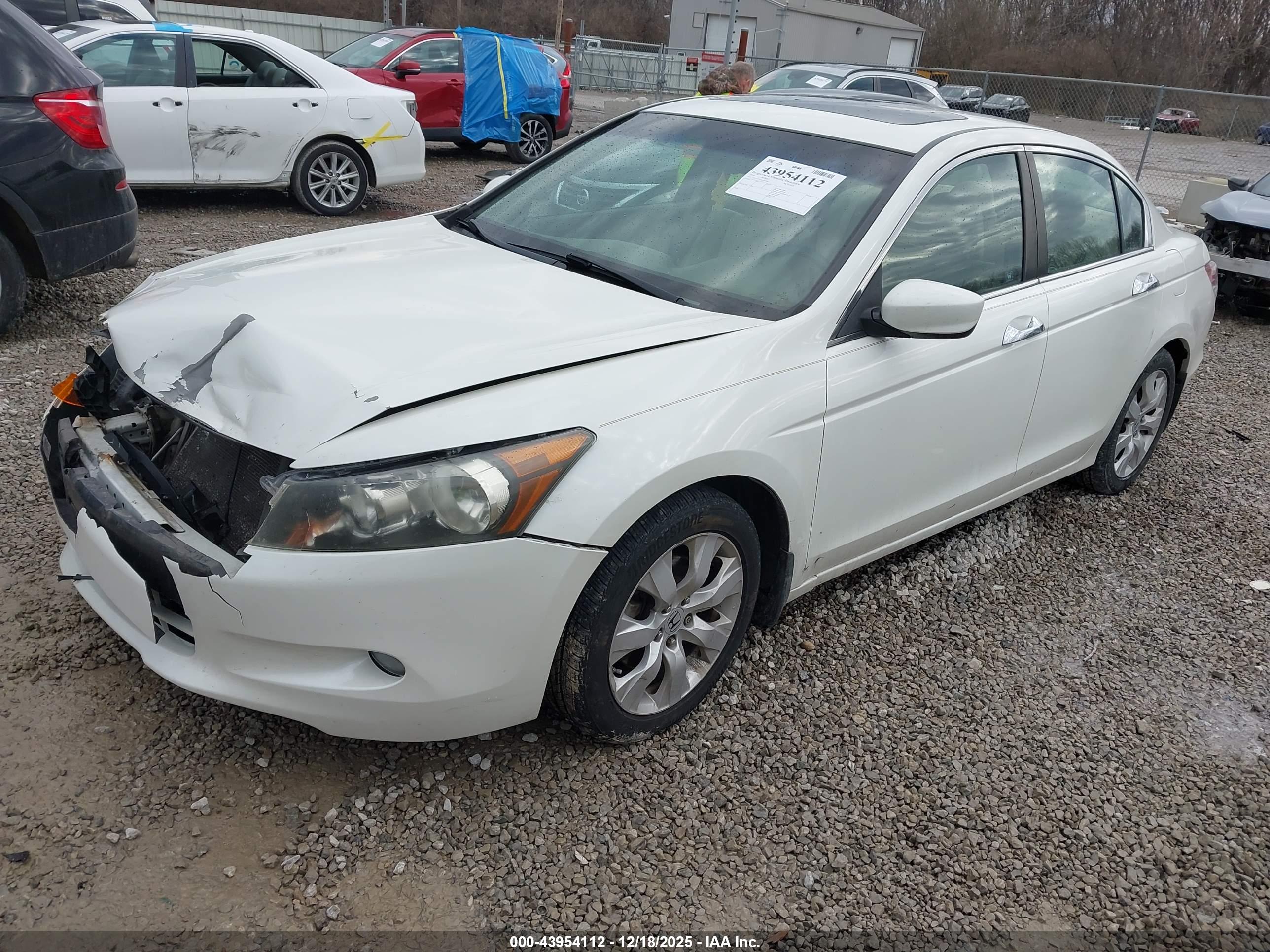 HONDA ACCORD image 2