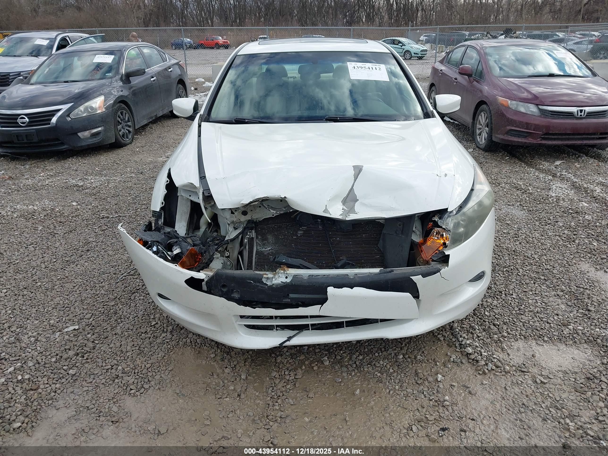 HONDA ACCORD image 6