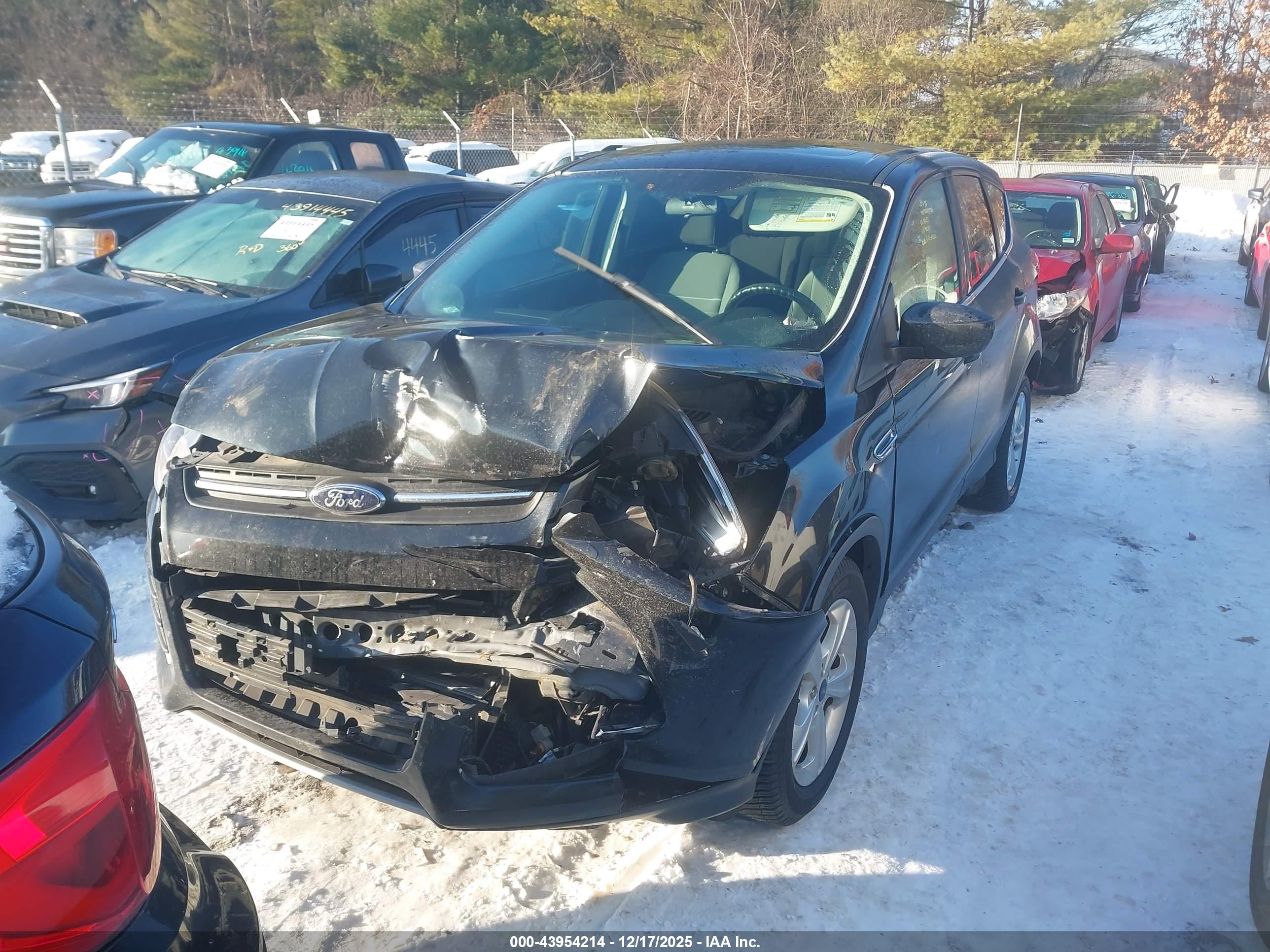 FORD ESCAPE image 2