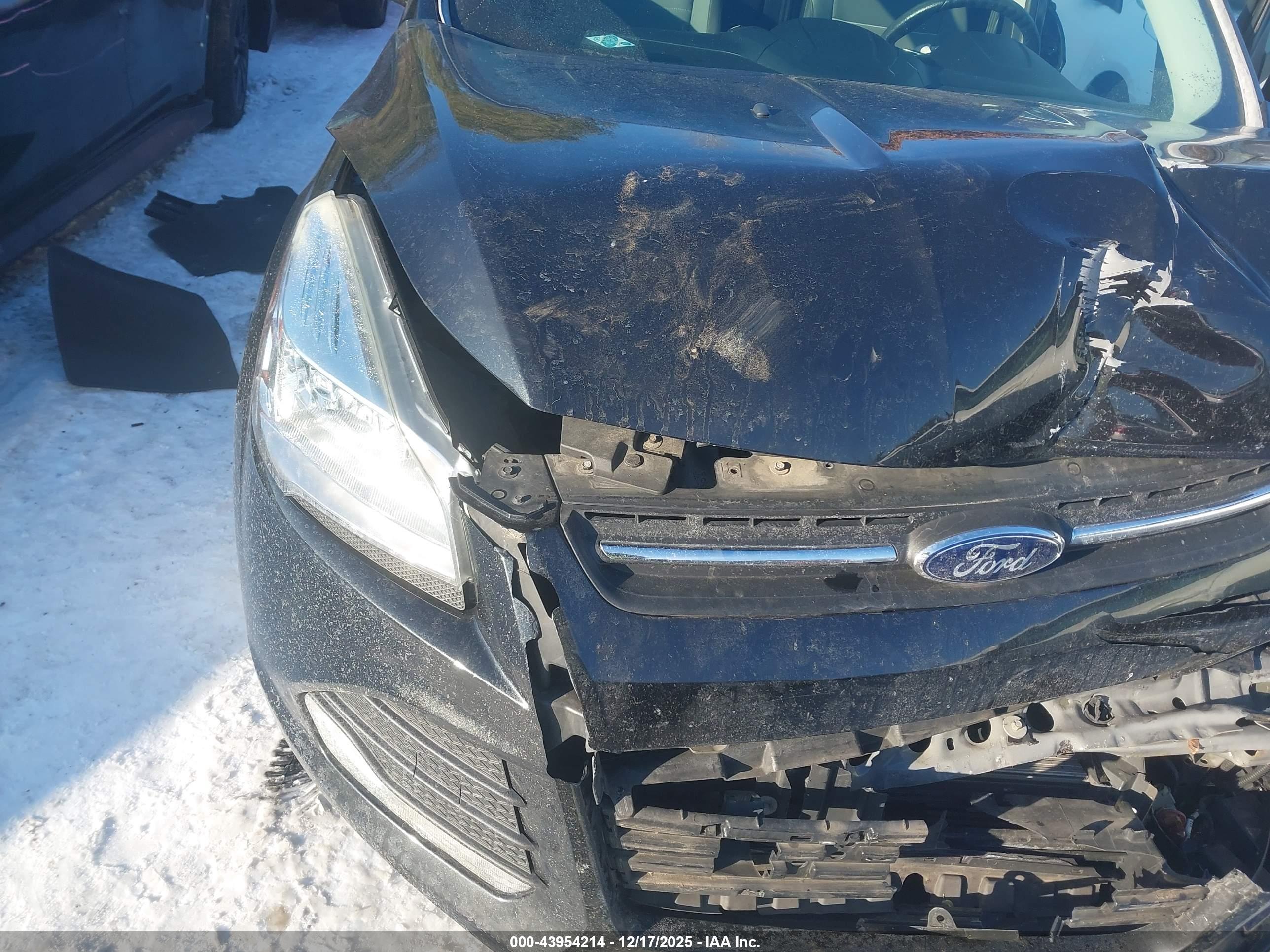 FORD ESCAPE image 6
